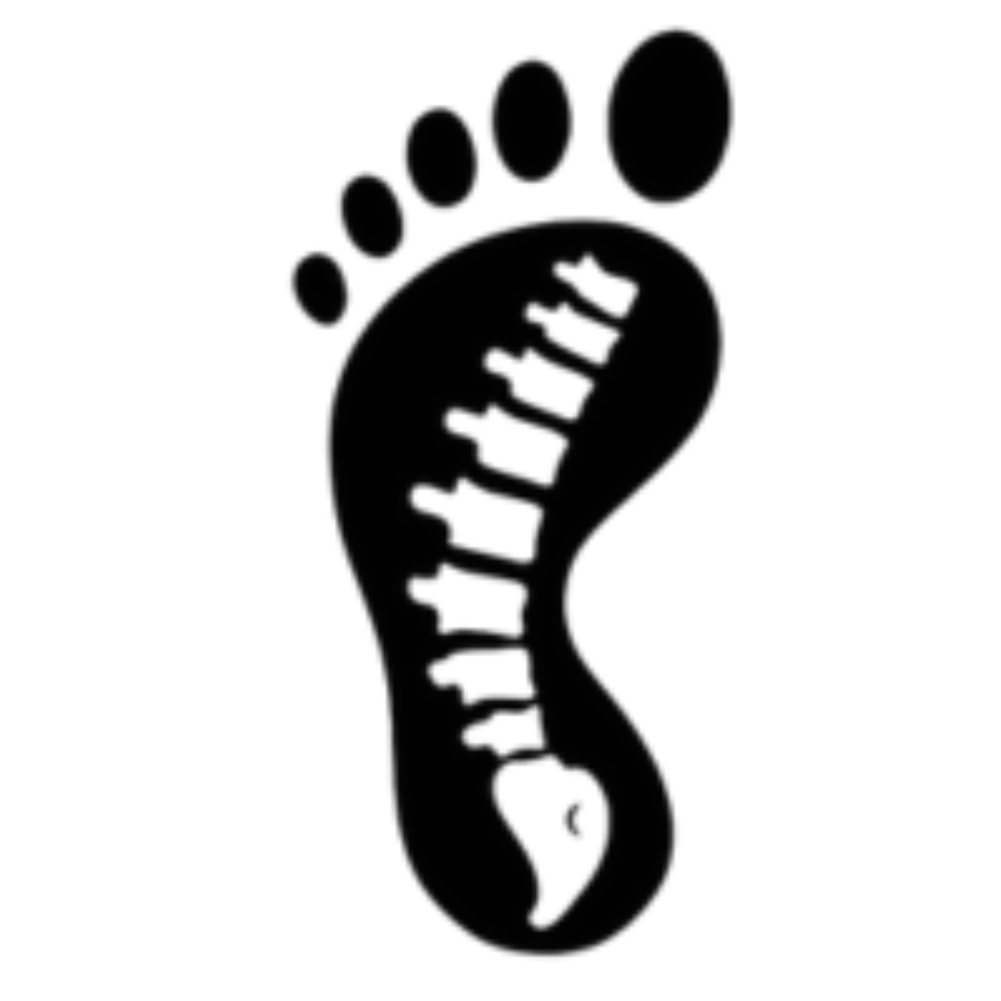 Bone Health, Menopause, and Exercise