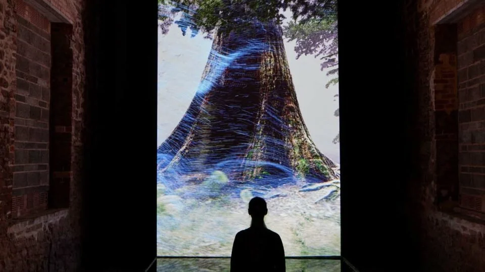 Creative Regeneration: Climate crisis art feature for Aesthetica