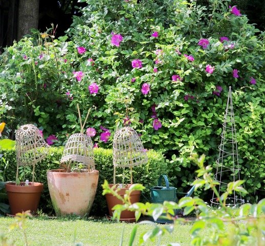 Longford Blooms at Blenheim Garden a unique event