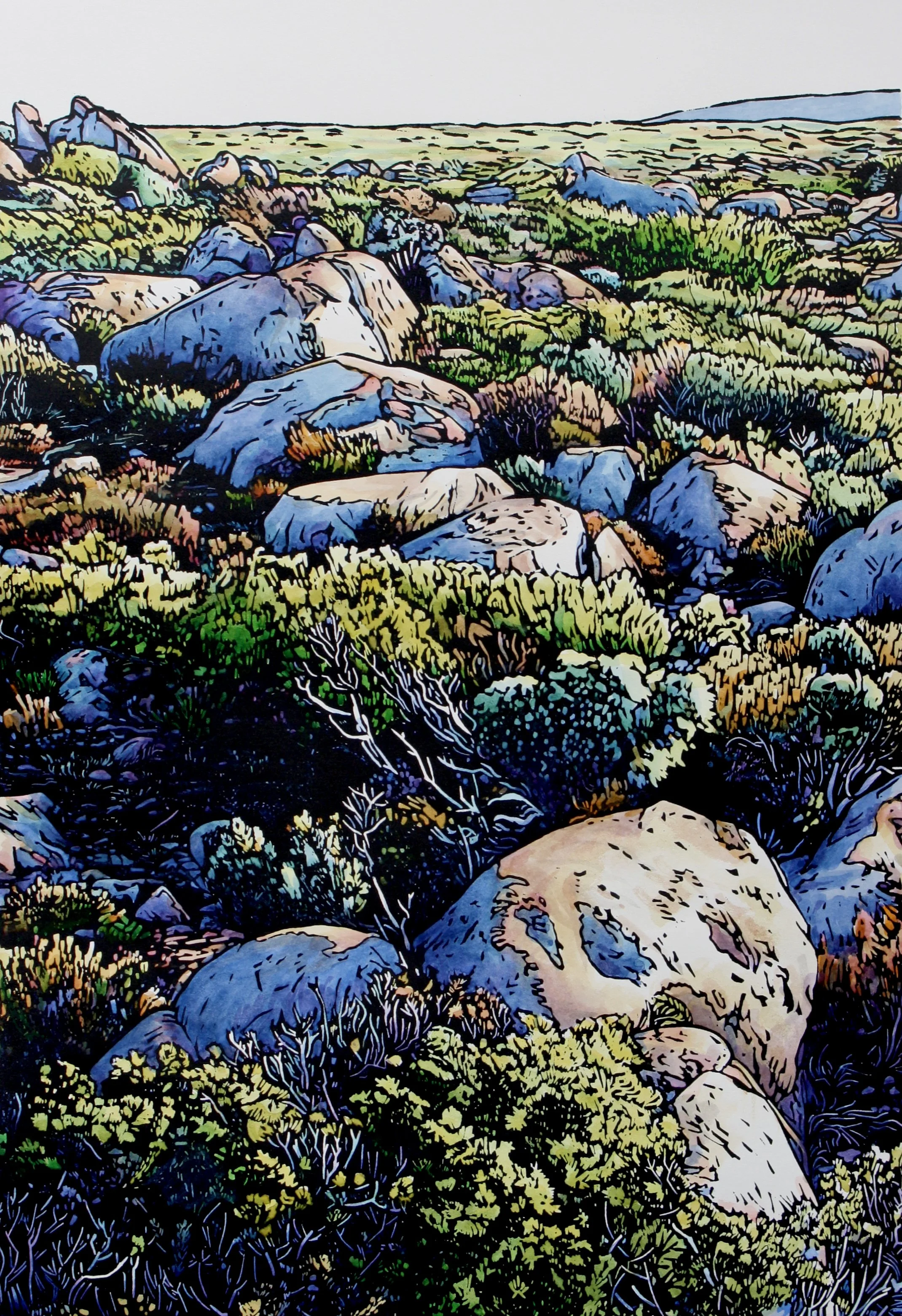 Proof North - Poimena Gallery LCGS