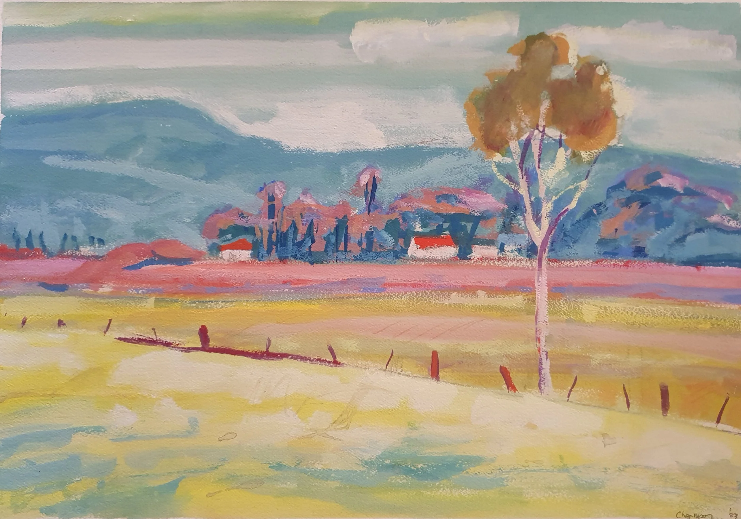 ‘Luminous’ - watercolour &amp; gouaches -