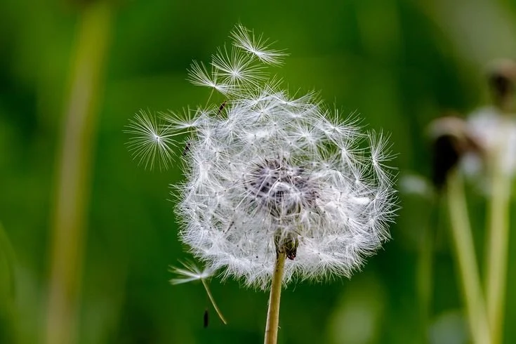Berufliches Coaching  &amp;  Psychosoziale Beratung