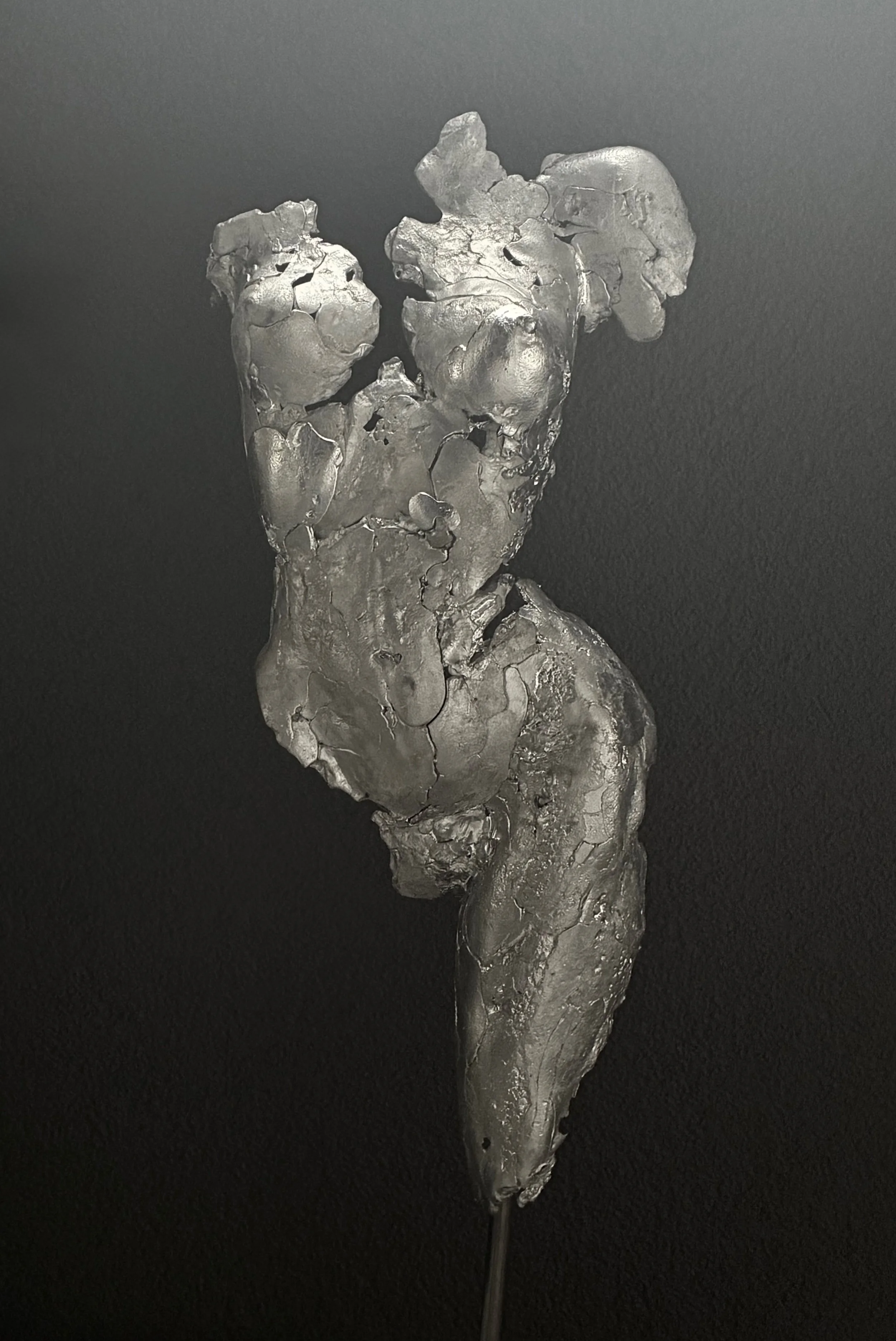 Buste femme en étain