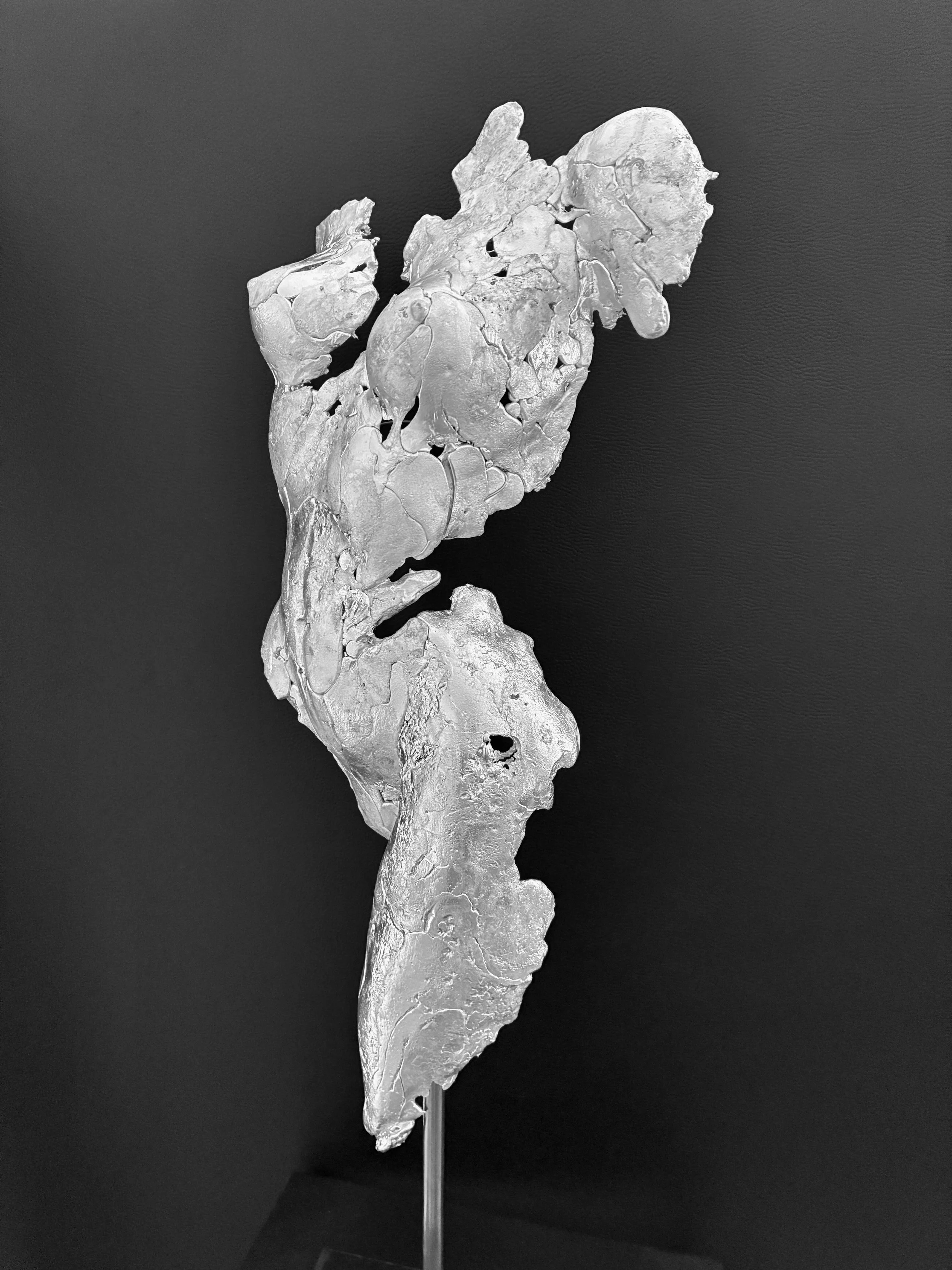 Mes bustes, féminins et masculins, en grès ou en étain, sont des présences silencieuses.
Ils peuvent aussi devenir des appliques lumineuses, laissant la lumière révéler la matière et accompagner l’espace avec douceur.