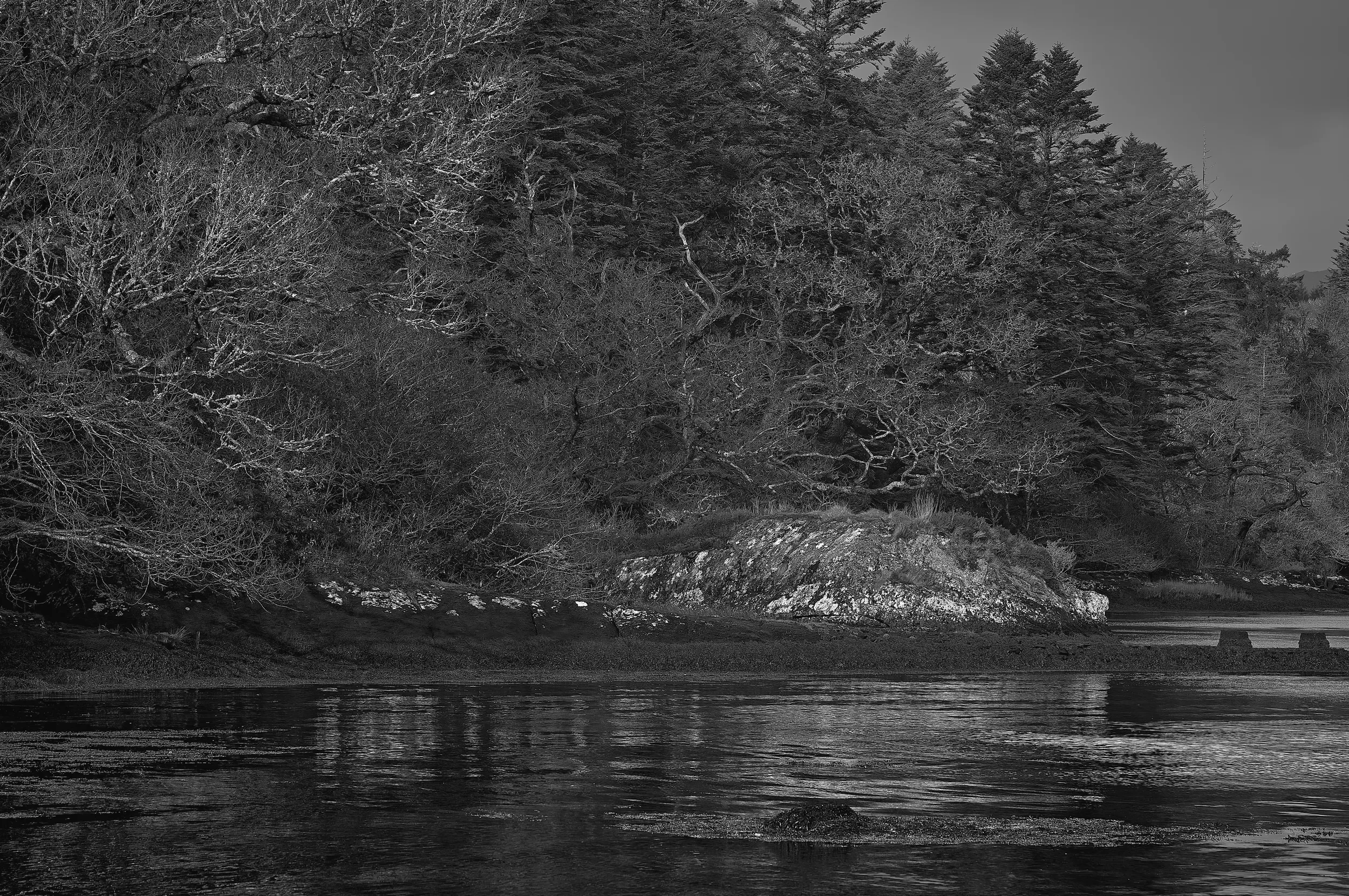   Reflections of Nature   / Layered woodland reflected in sheltered waters, Lackeen/Derreenafoyle / Ring of Kerry, 2025   IRP-030