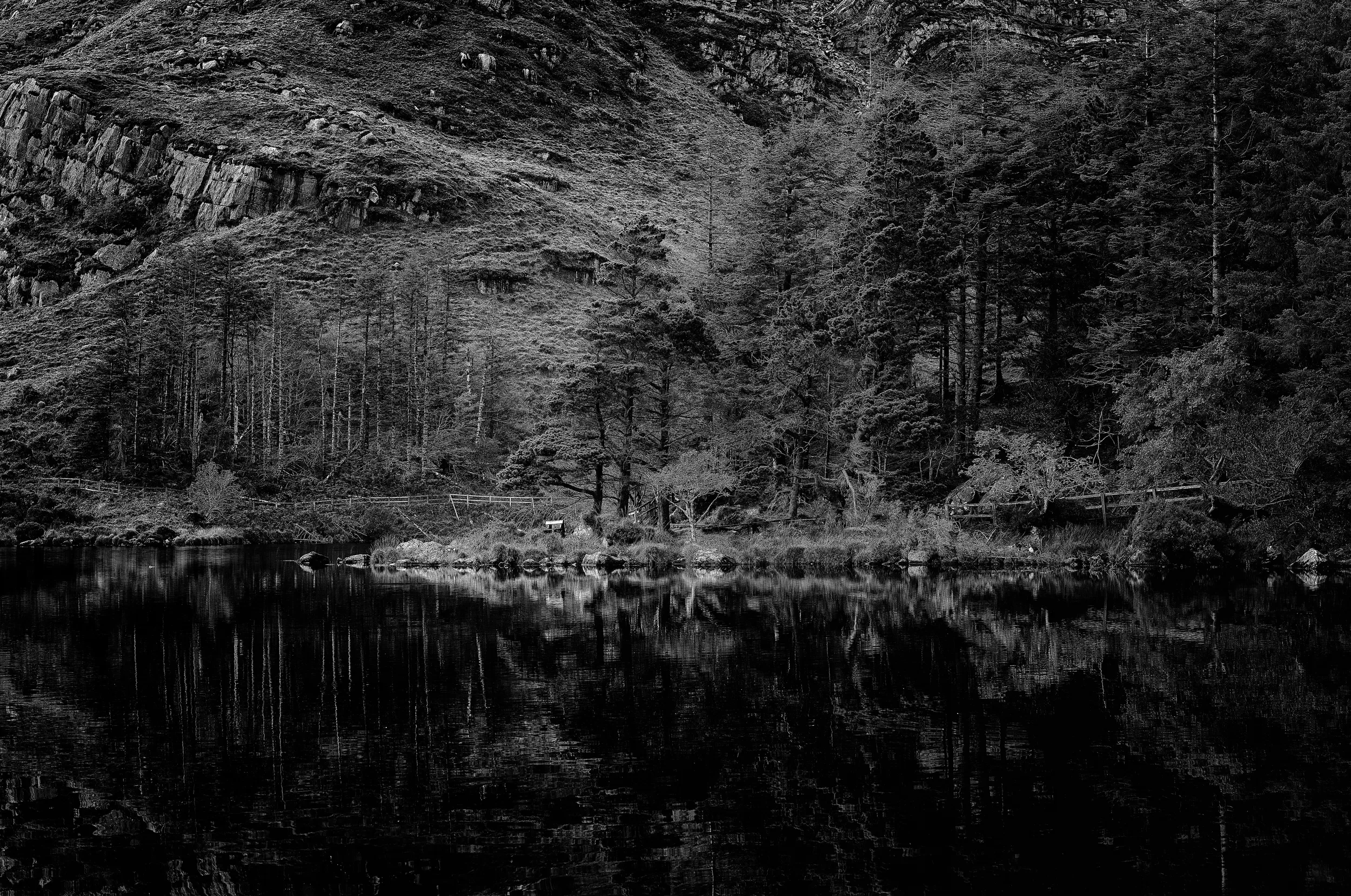   Echoes of Nature   / Delicate reflections and layered textures at the lake / Glanteenassig Forest Park, 2025   KYD-004
