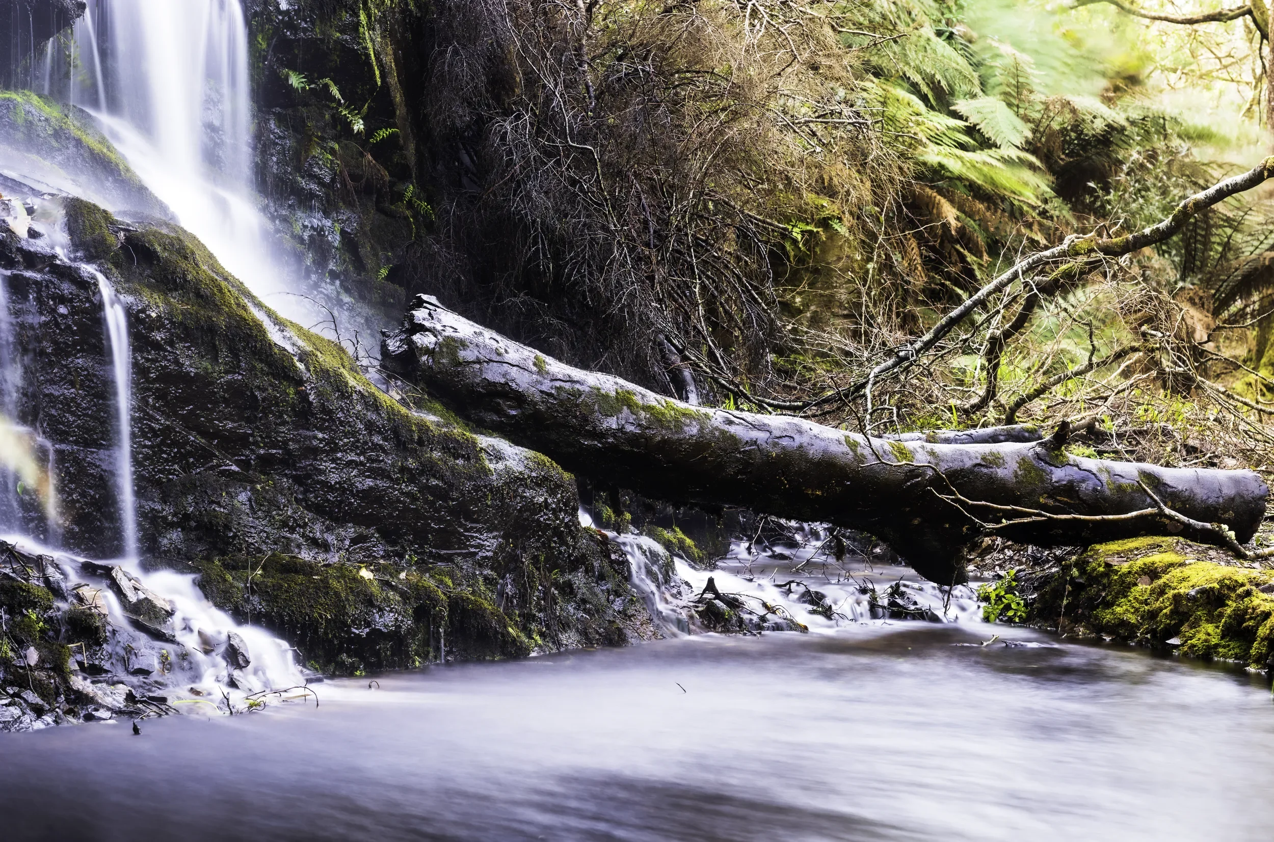  Traces of Time   / Time and movement dissolving into tranquillity at Kells Garden / Ring of Kerry, 2022   KYI-021