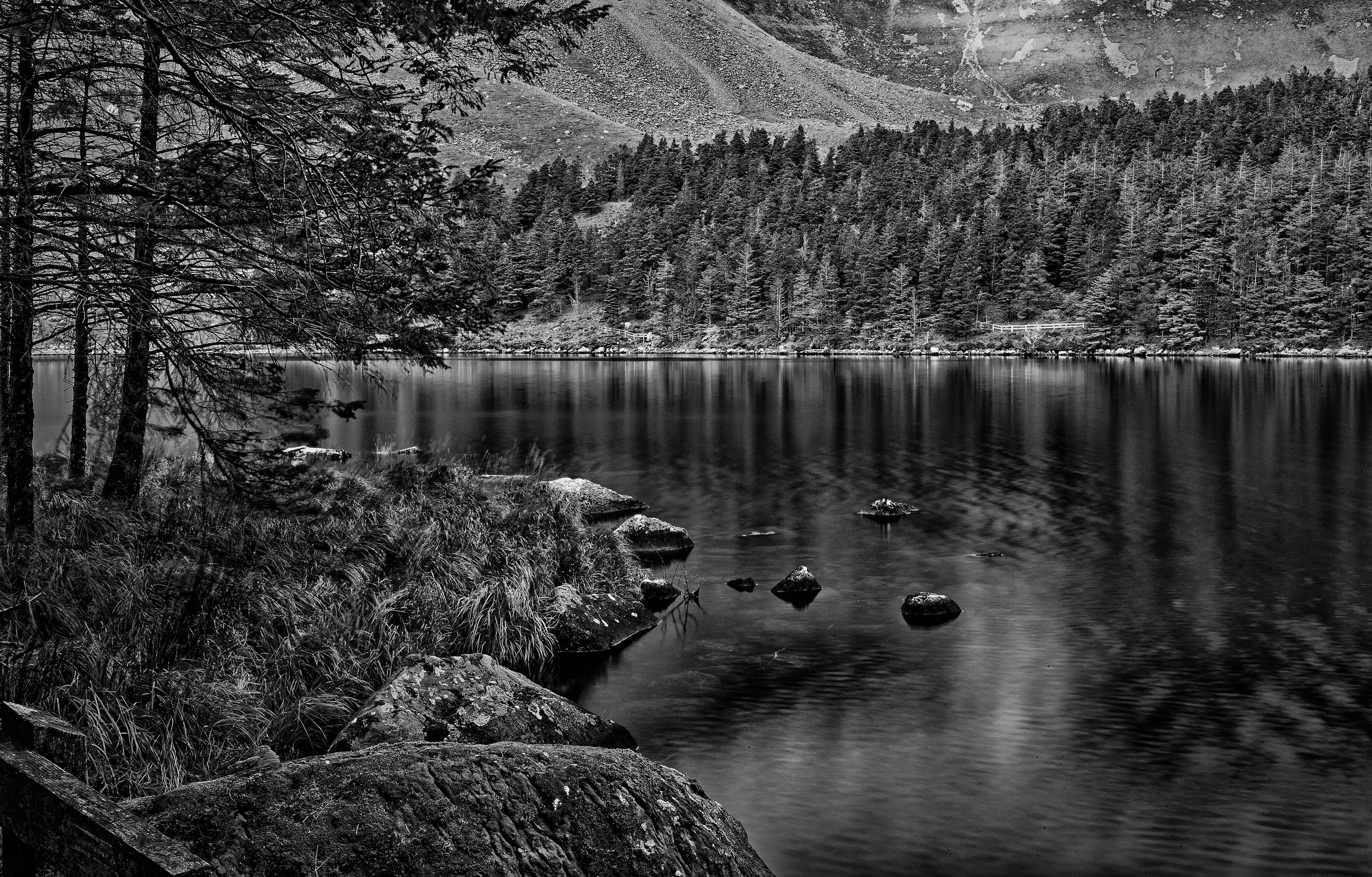   A Gentle Venture   / Rocks tentatively venturing into the waters / Glanteenassig Forest Park, 2025   KYD-003