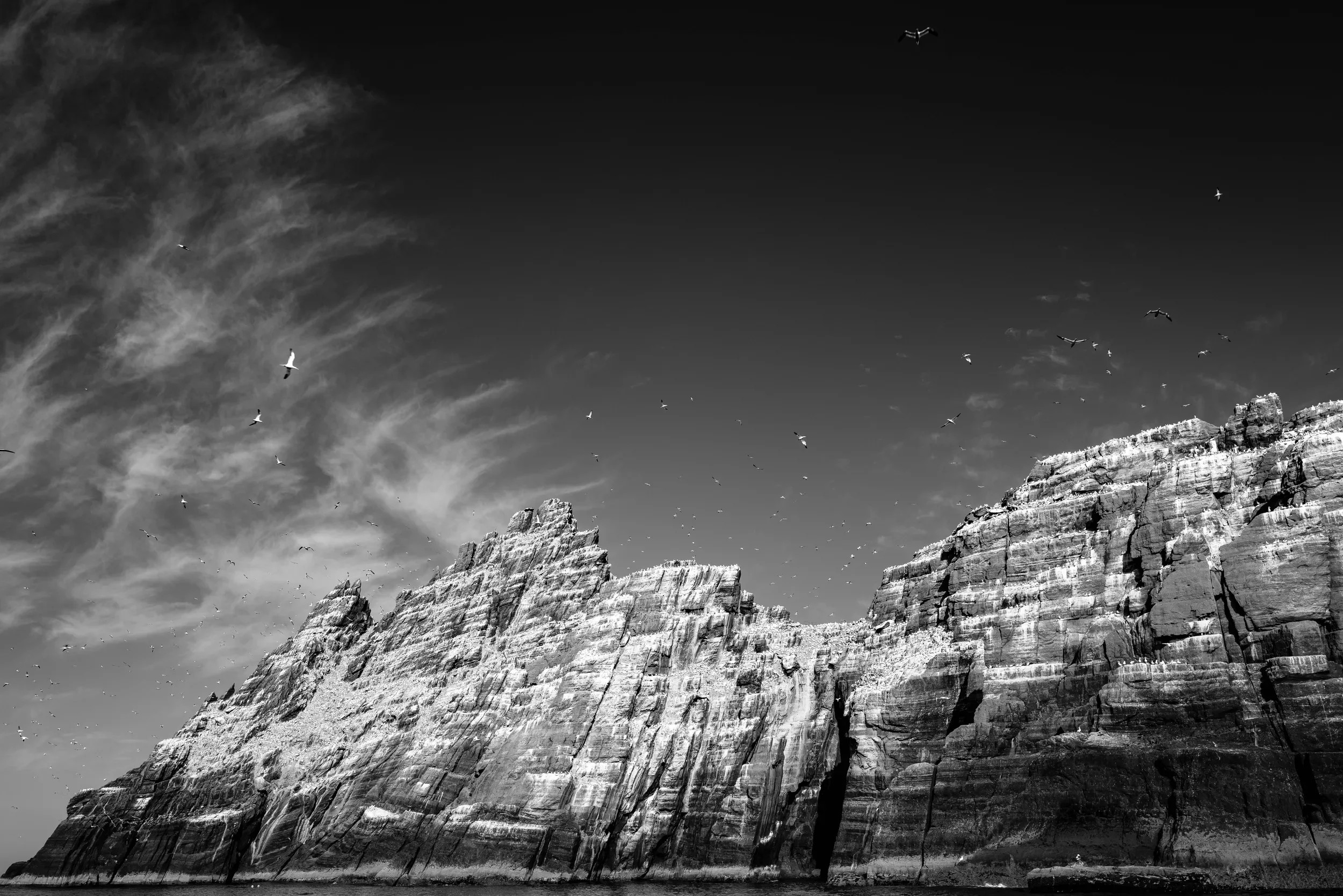   Little Skellig   / Thousands of gannets and their traces lend the island its white appearance / Skellig Ring, 2021   KYI-013