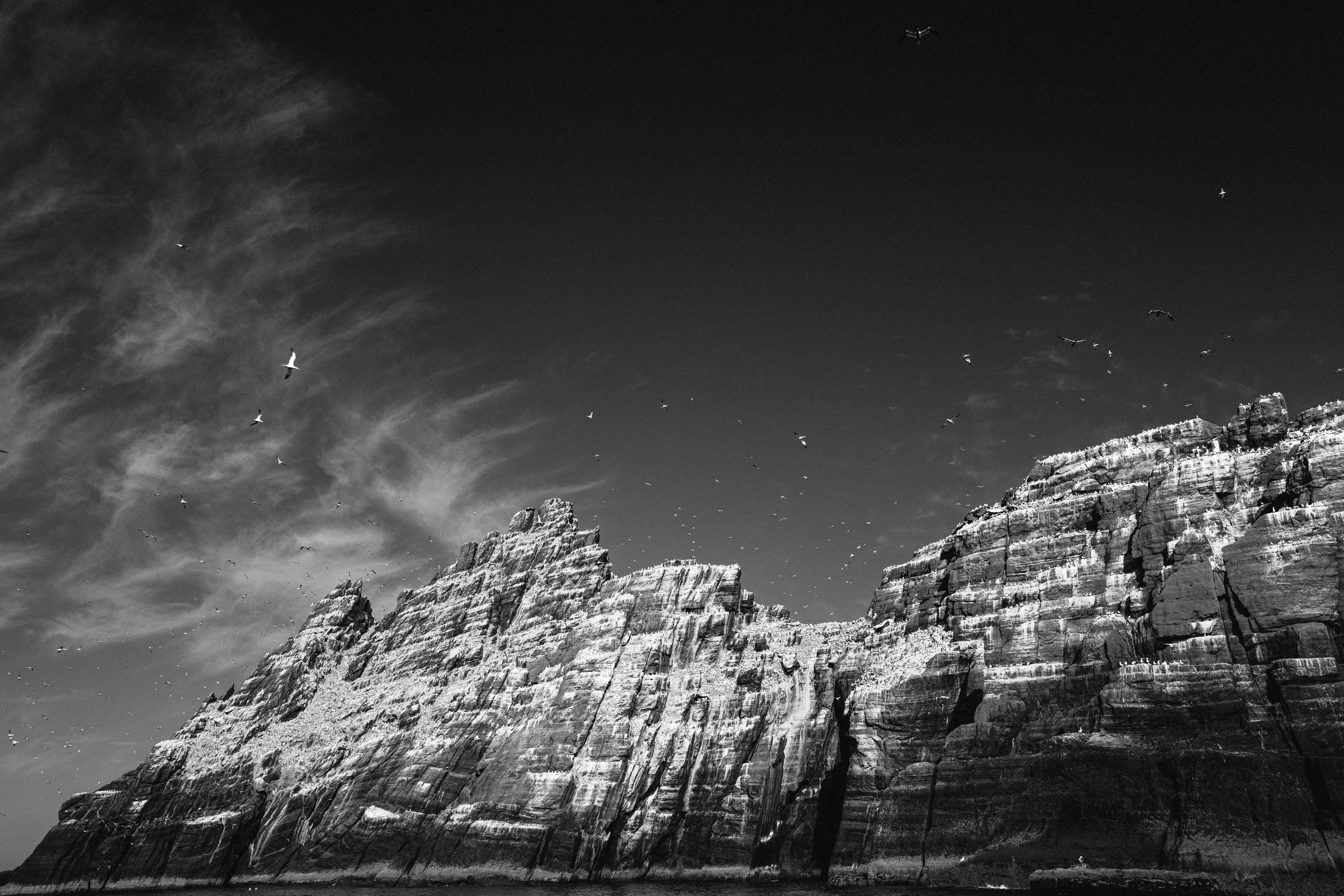 L1010721.jpg