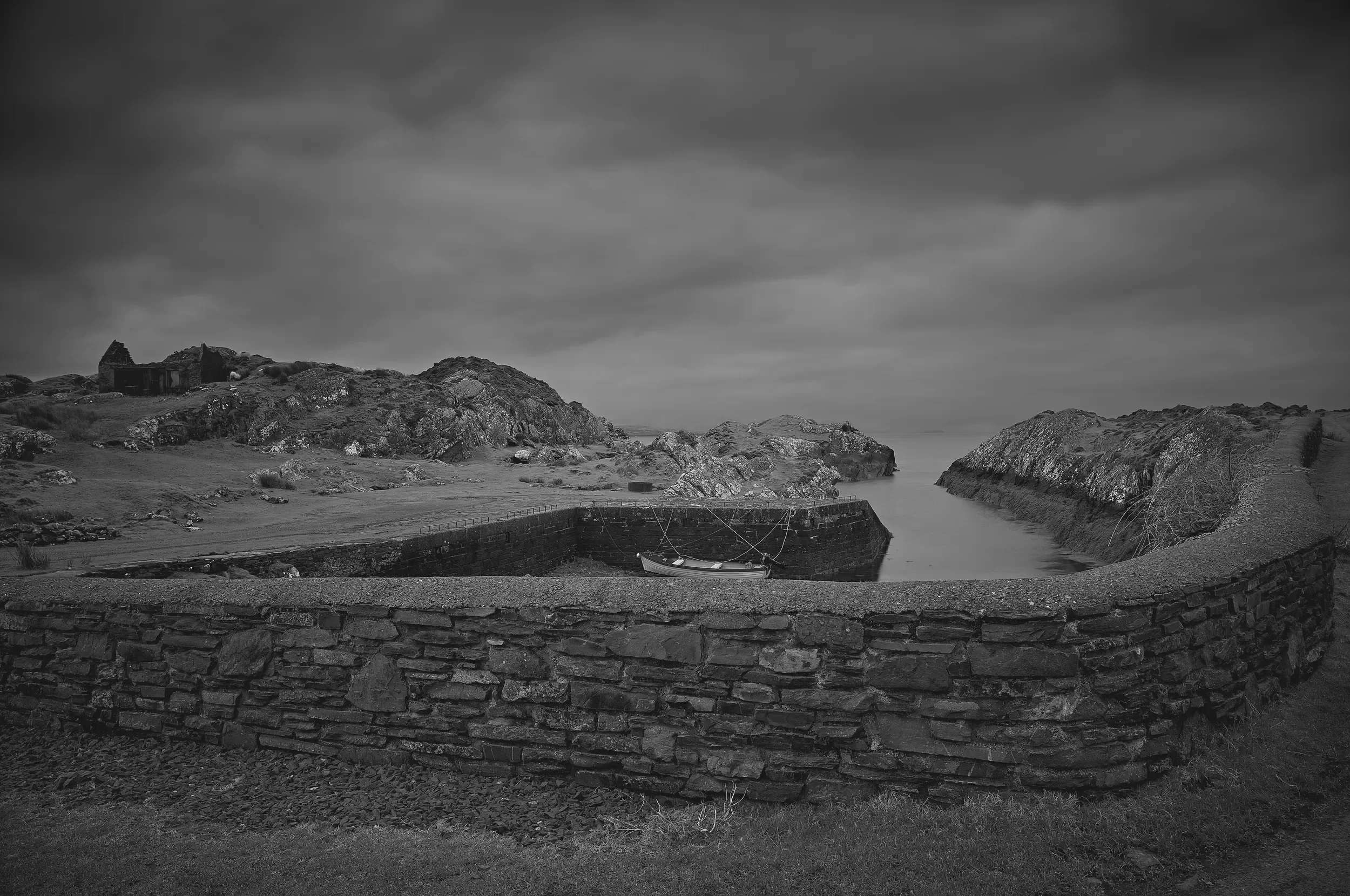   Stillness at Westcove   / Rhododendrons and seaweed in the immediate vicinity / Ring of Kerry, 2025   IRP-021