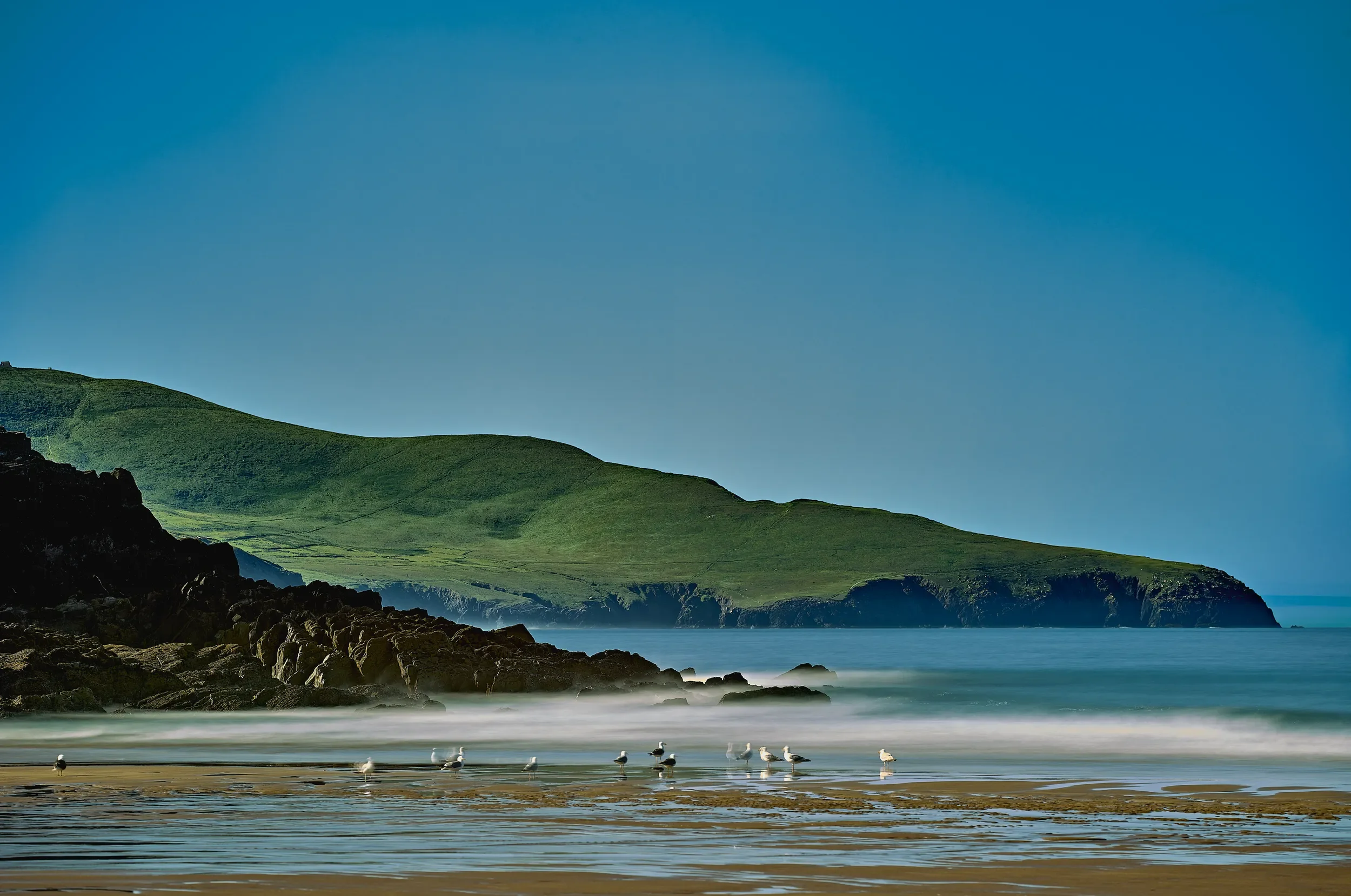   Beach Walk   / Seagulls are waiting for their next catch, St. Finian’s Bay / Skellig Ring, 2025   KYI-062