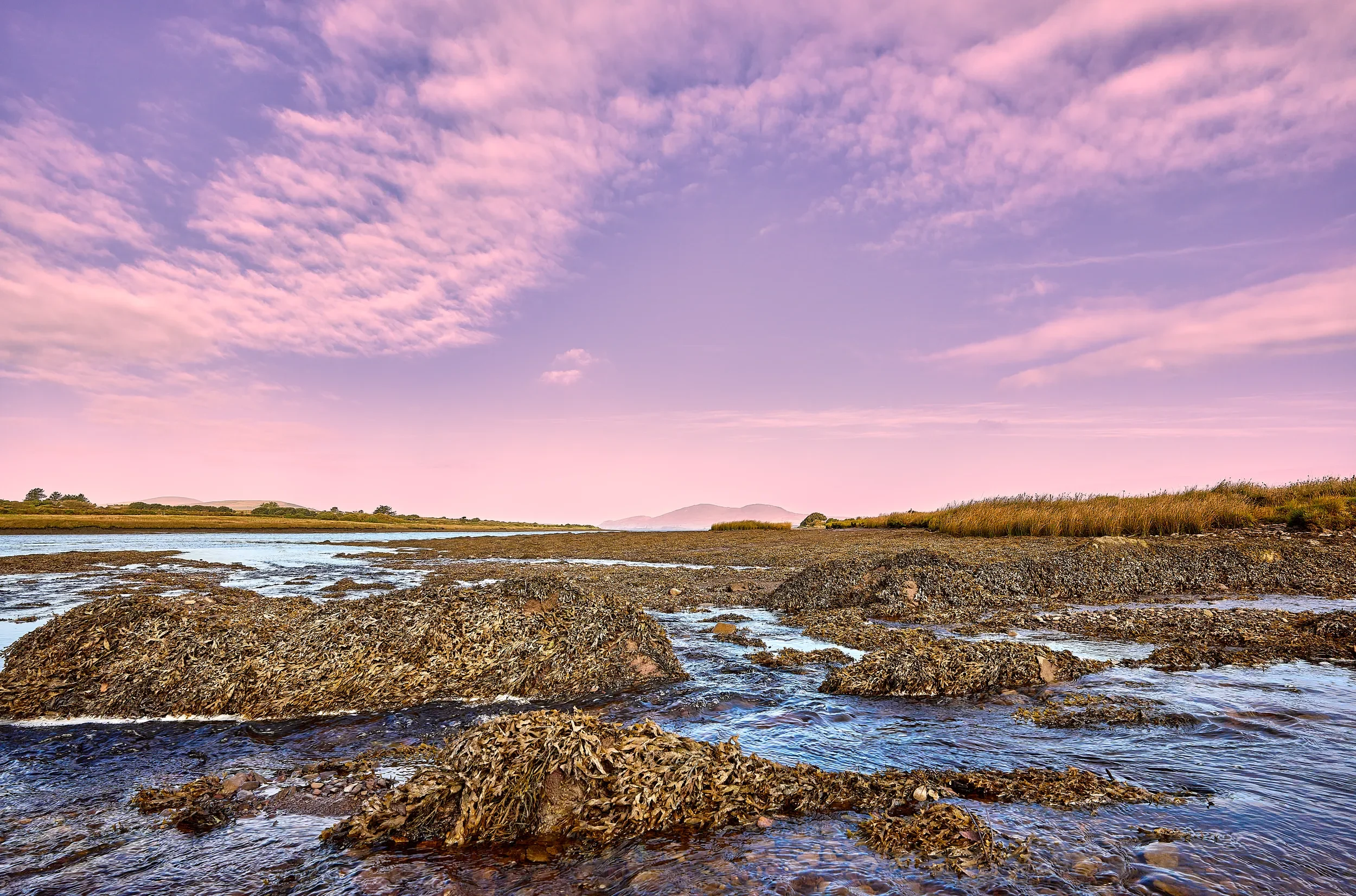   Tidal Tranquillity   / Pink evening skies over the tidal waters of Ardcost and Boola, Cahersiveen / Ring of Kerry, 2023   KYI-019