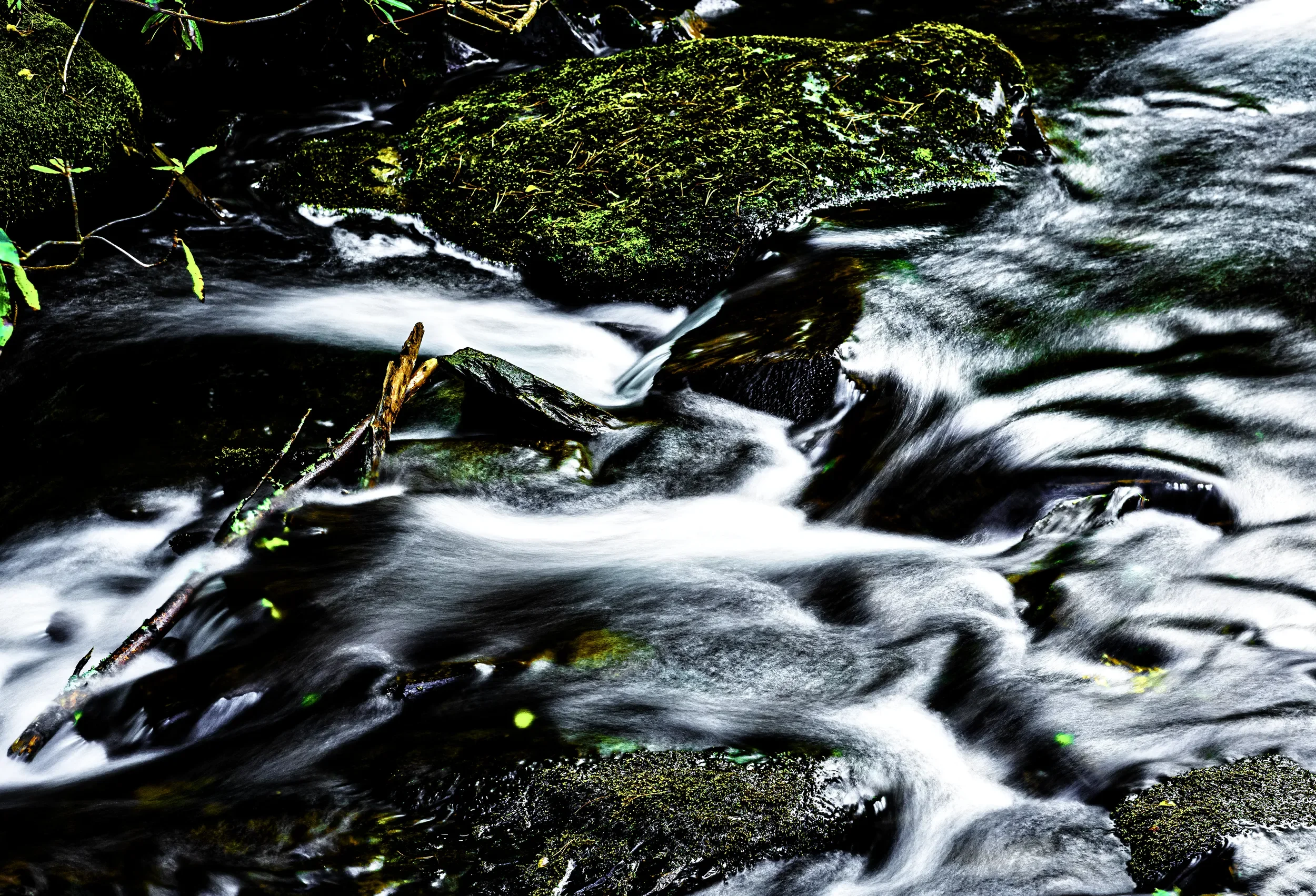   Liquid Silk   / An elegant interplay of motion and stillness at Kells Garden / Ring of Kerry, 2022   KYI-020
