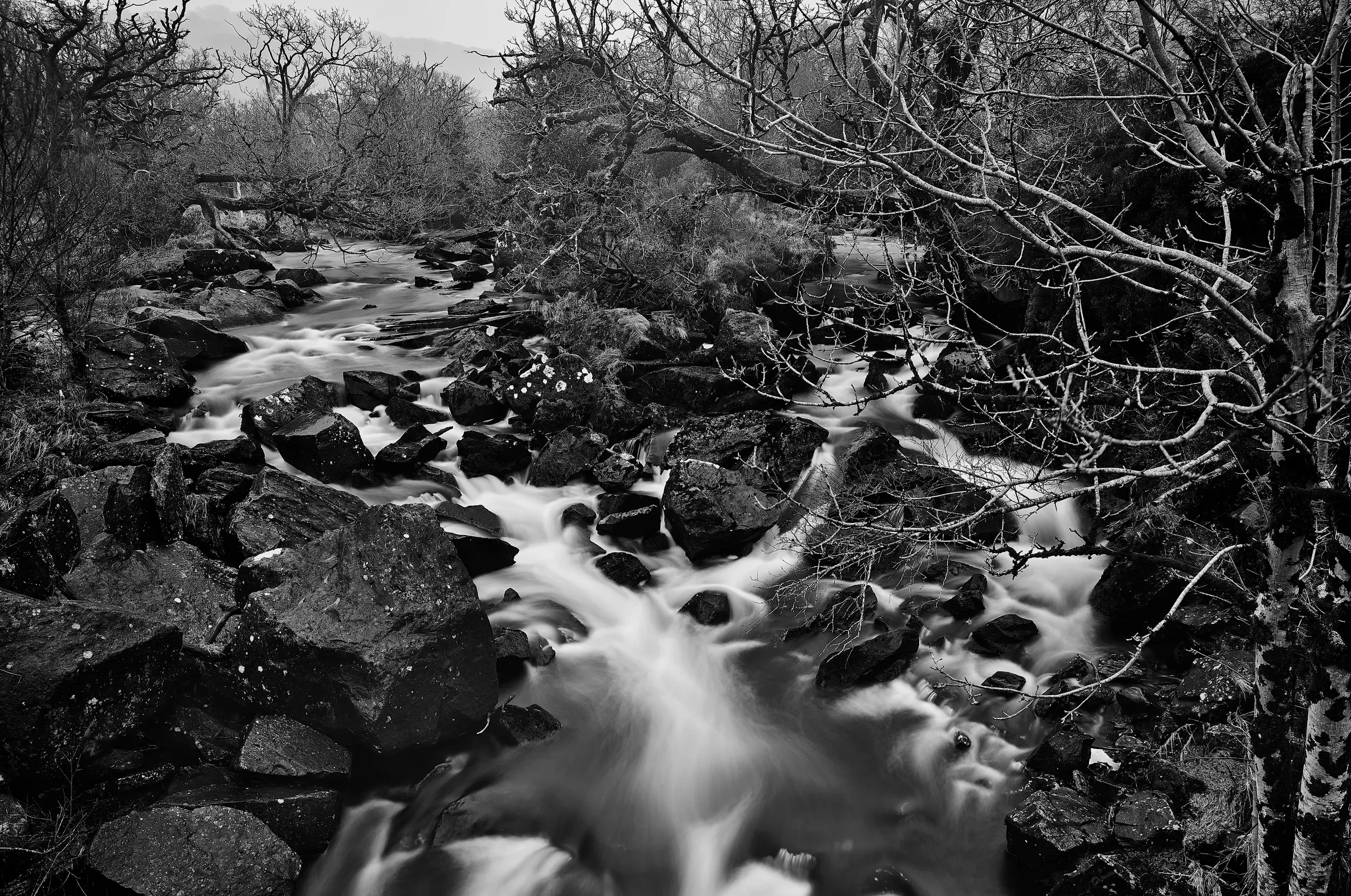   Soft Fusion   / Silken waters of the Owengarriff River near Torc Waterfall / Killarney National Park, 2024   KYI-074