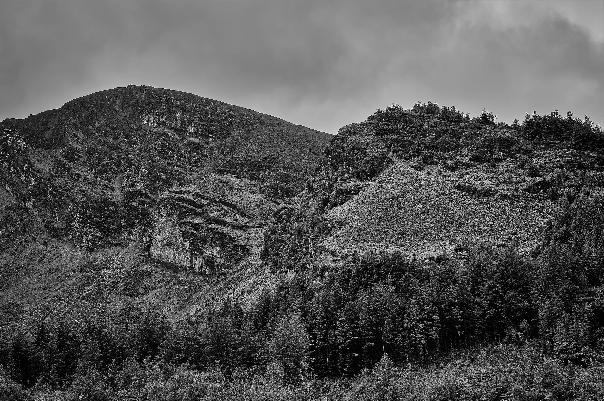   Carved by Time   / Intricate rock formations and layered textures / Glanteenassig Forest Park, 2024   KYD-005