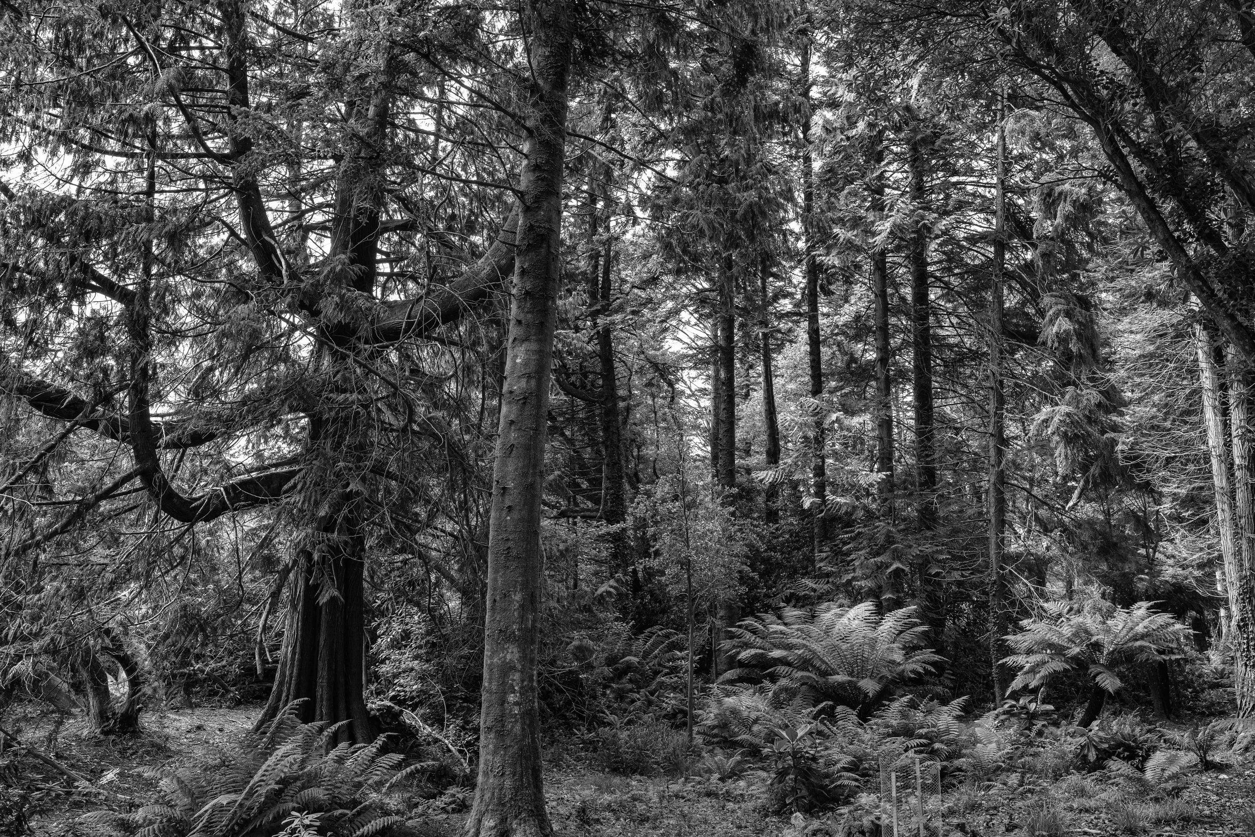 L1010929-Edit.jpg