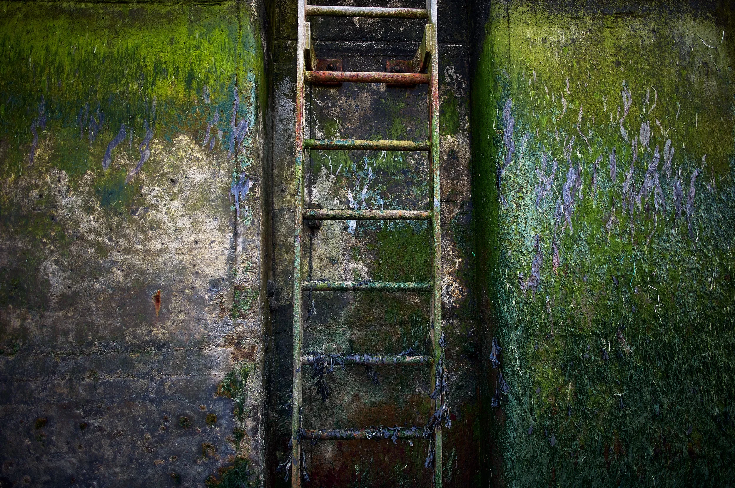   Nature Reclaims   / A study in green, where nature meets industrial geometry / Ring of Kerry, 2025   IRP-013