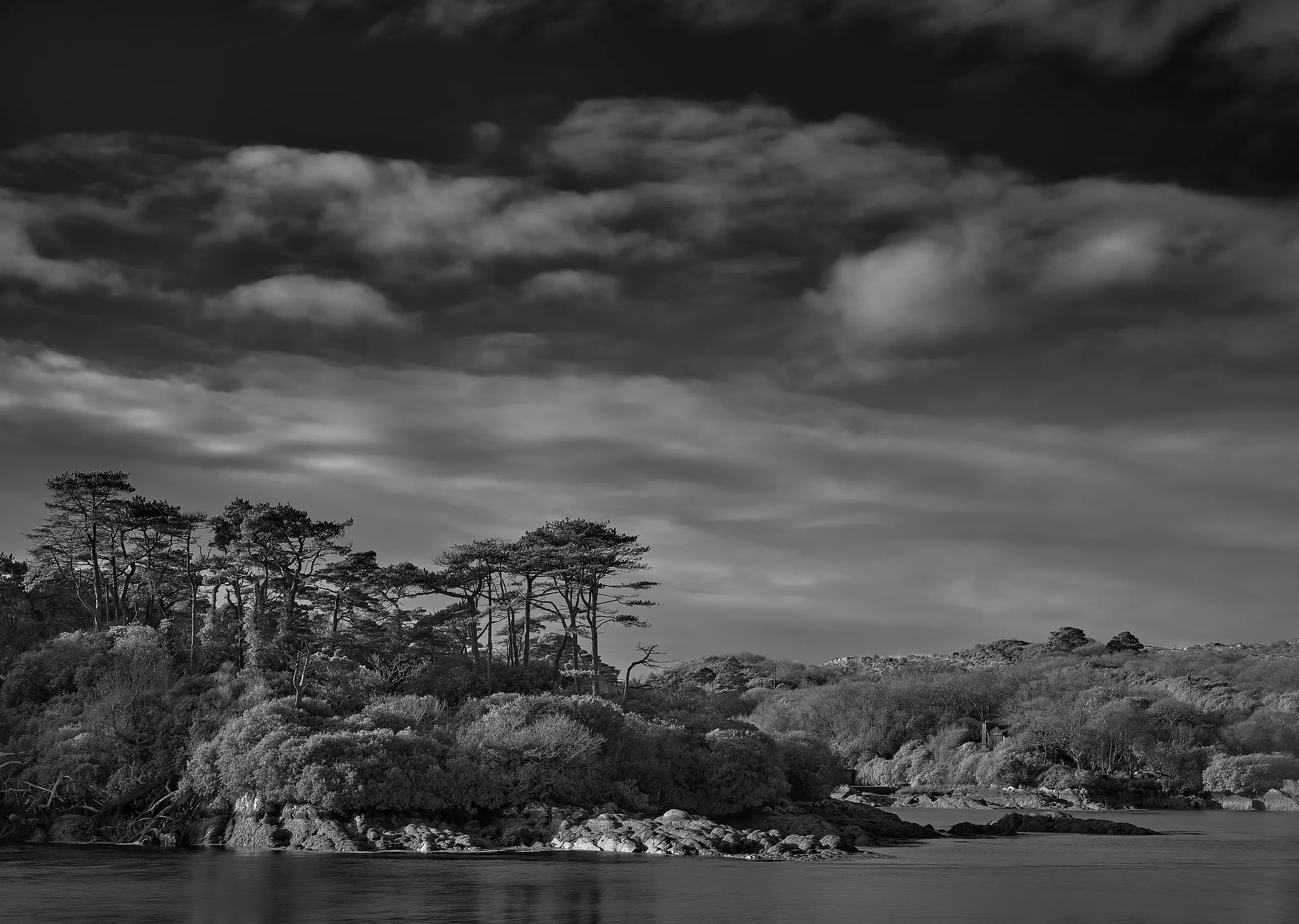   An Island of Trees   / Sculptural silhouettes against the skies of Kenmare Bay / Ring of Kerry, 2025   IRP-022