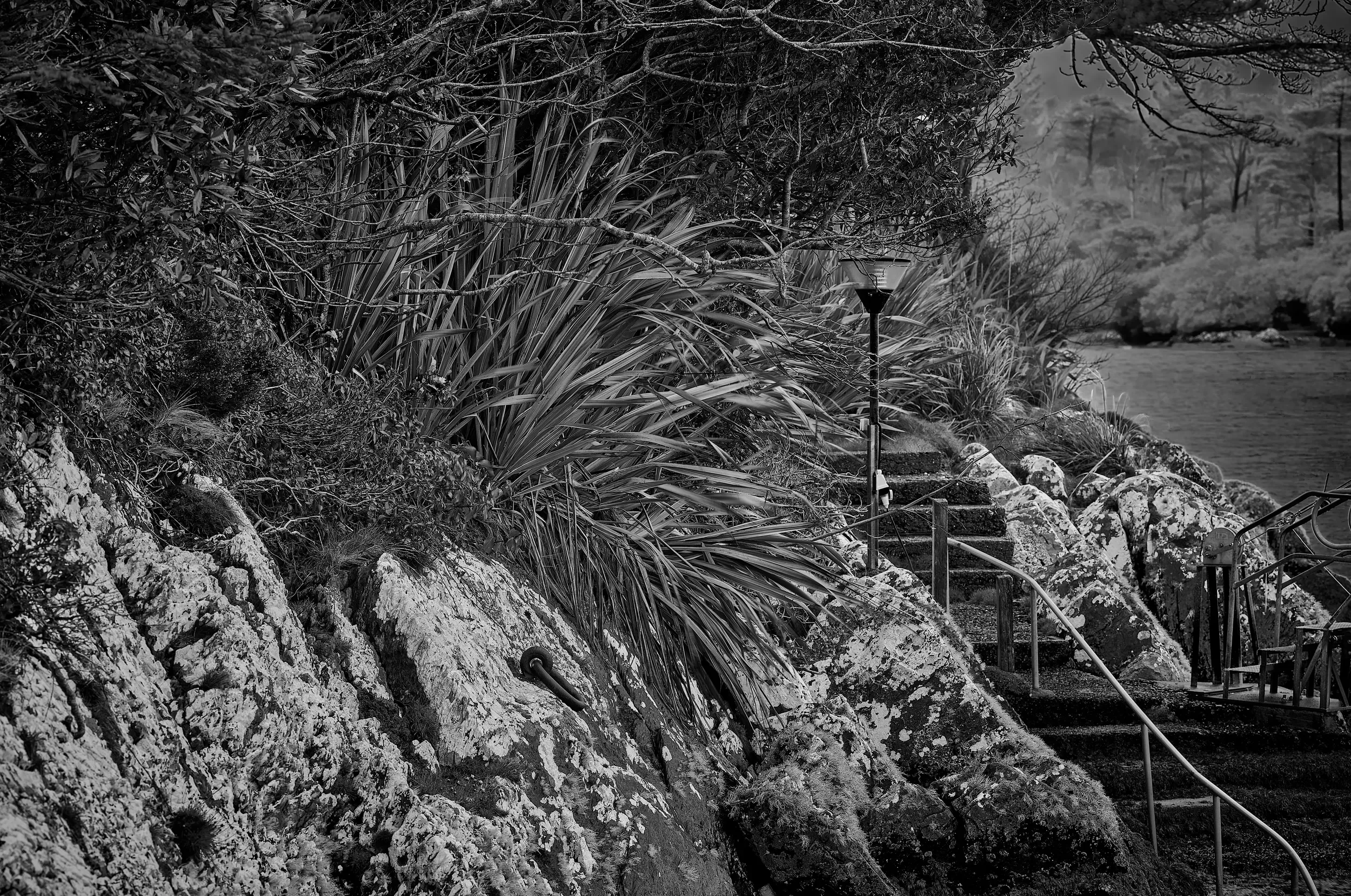   The Hidden Descent   / Strong diagonals guiding the eye towards the water’s edge / Ring of Kerry, 2025   IRP-028