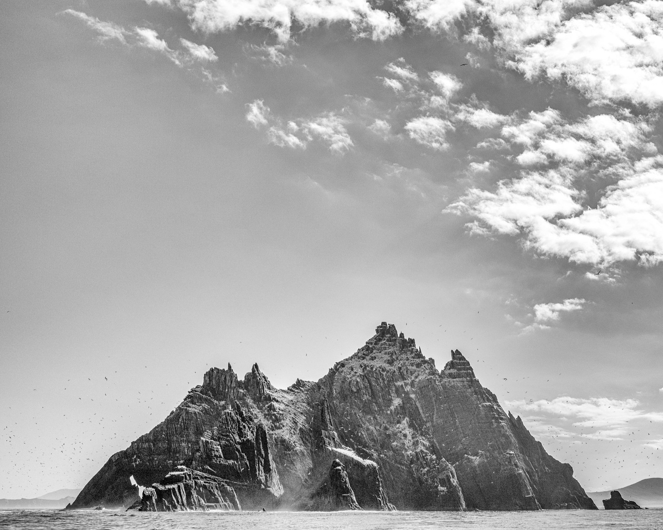 L1010732-Edit-Edit-Edit-Edit.jpg