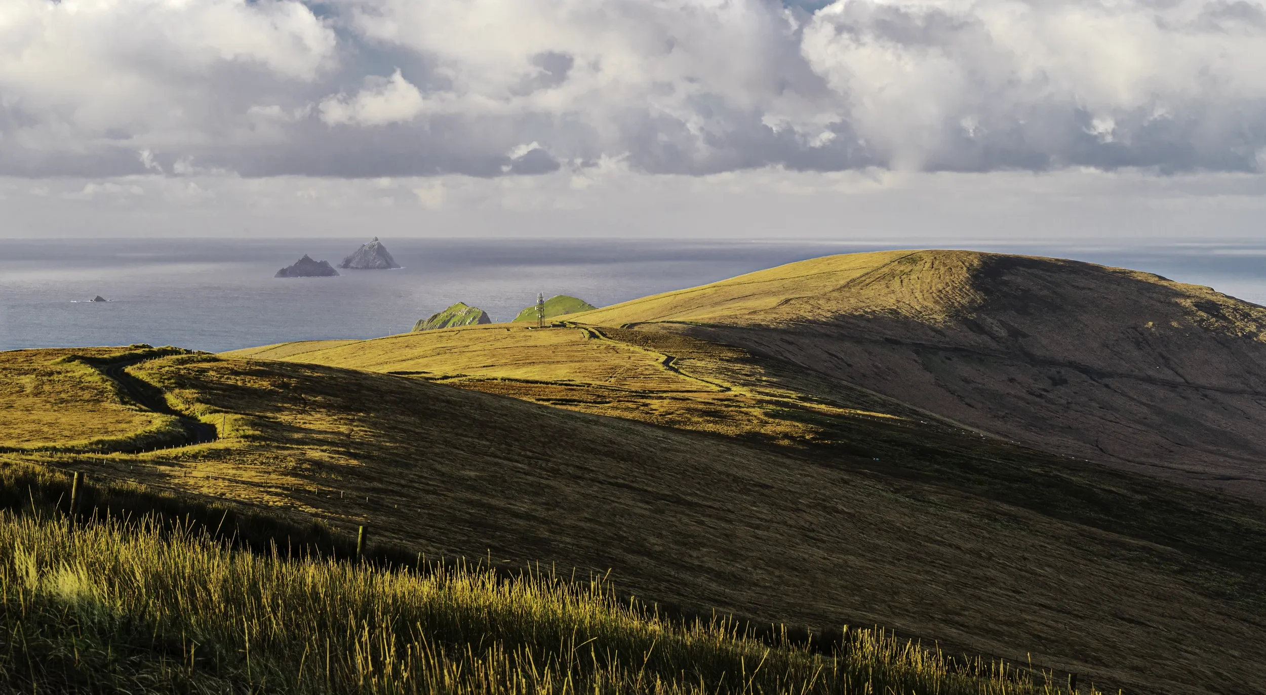   A Touch of Gold   / Sunlit slopes on Coomanaspig, between St. Finian's Bay and Portmagee / Skellig Ring, 2021   KYI-052