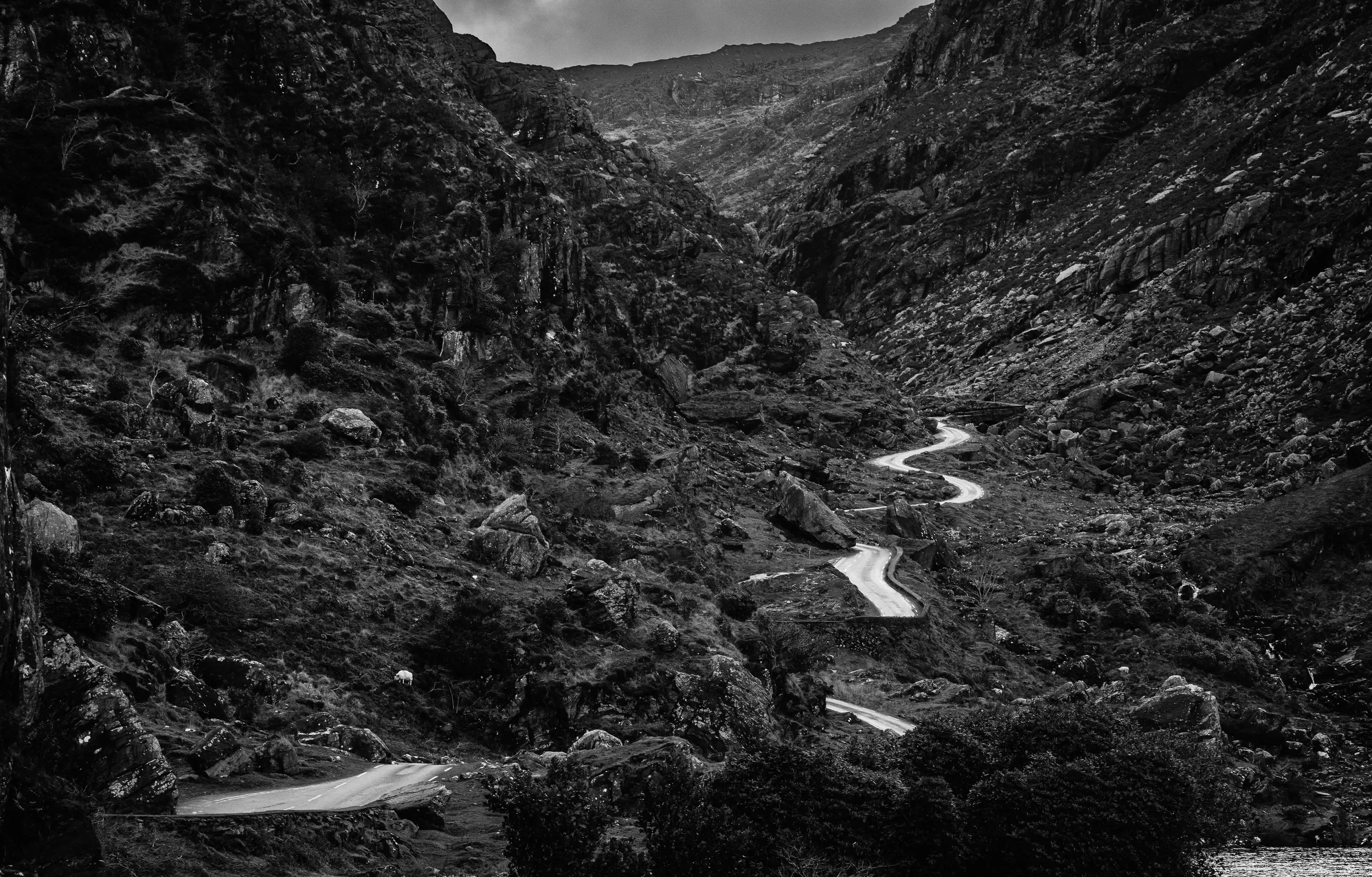   The Winding Way   / A ribbon of light winding through the rugged  terrain of Black Valley / Killarney National Park, 2023   KYI-067