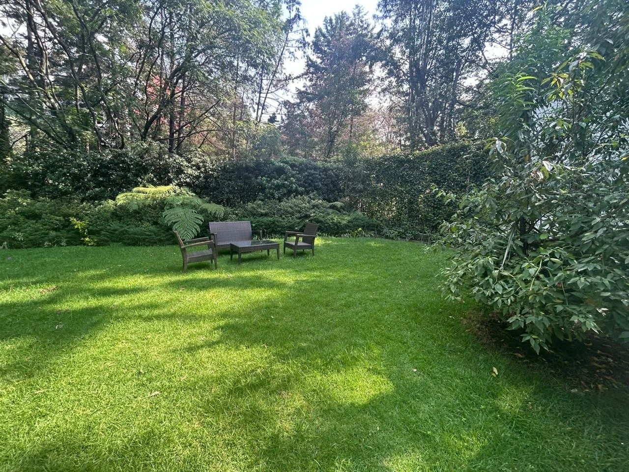 CasaDeLasLomas Image 2026-03-10 at 17.43.24 (3).jpeg