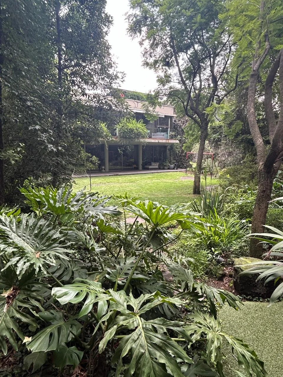 WhatsApp Image 2025-11-01 at 08.12.50 (6).jpeg