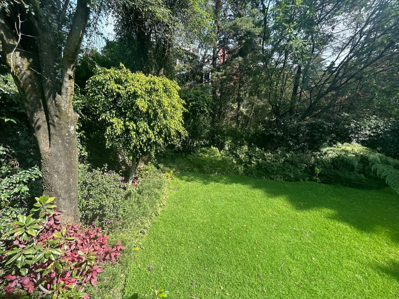 CasaDeLasLomas Image 2026-03-10 at 17.43.23 (7).jpeg