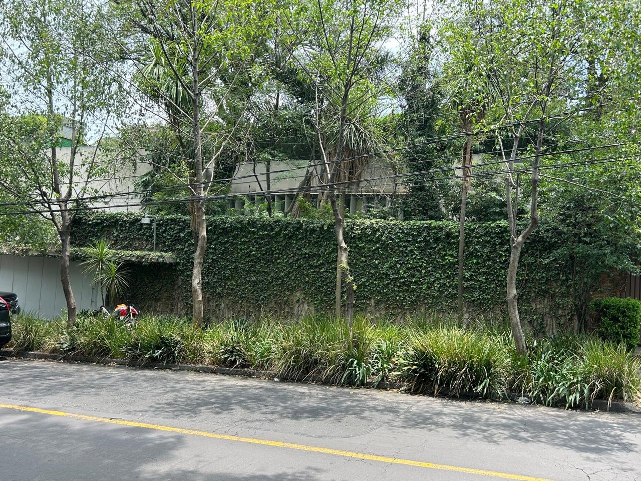 WhatsApp Image 2025-11-01 at 08.12.51 (10).jpeg