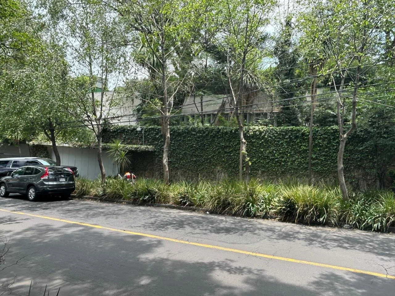 WhatsApp Image 2025-11-01 at 08.12.51 (11).jpeg