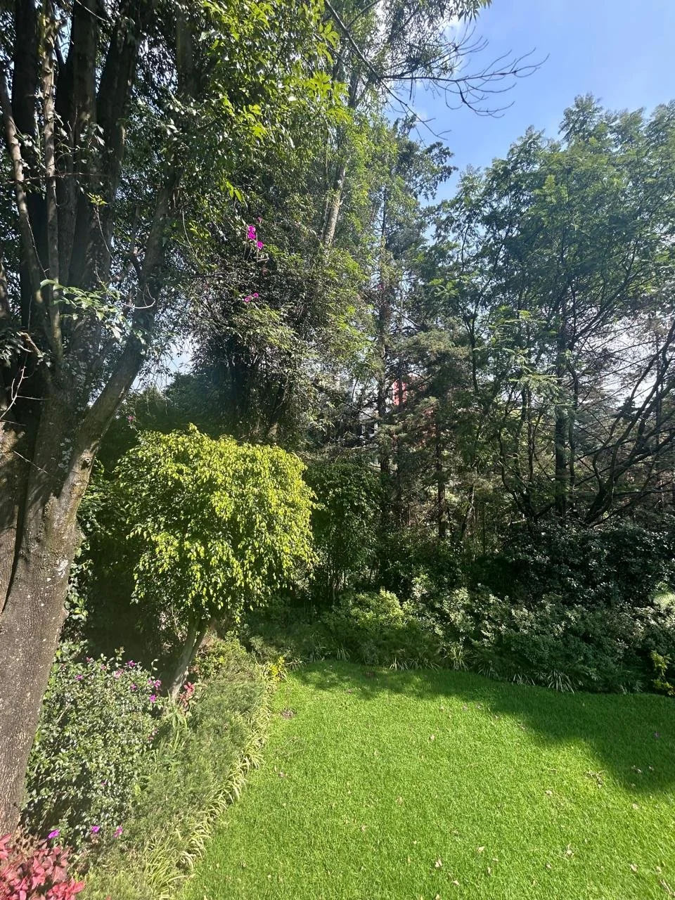 CasaDeLasLomas Image 2026-03-10 at 17.43.23 (8).jpeg