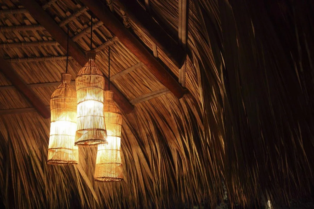 WhatsApp Image 2025-08-23 at 14.37.19.jpeg