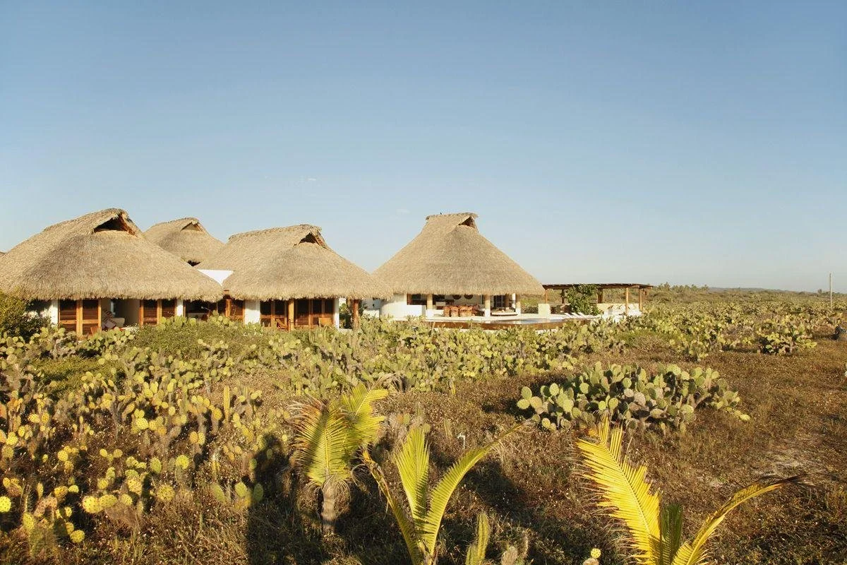 WhatsApp Image 2025-08-23 at 14.37.15.jpeg