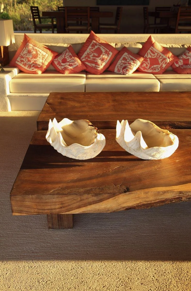 WhatsApp Image 2025-08-23 at 14.37.20.jpeg