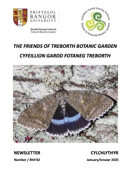 Issue 82, January 2025