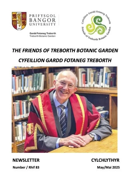 Issue 83 May 2025