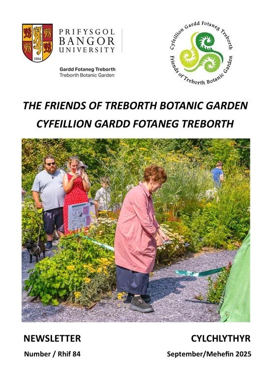 Issue 84, September 2025