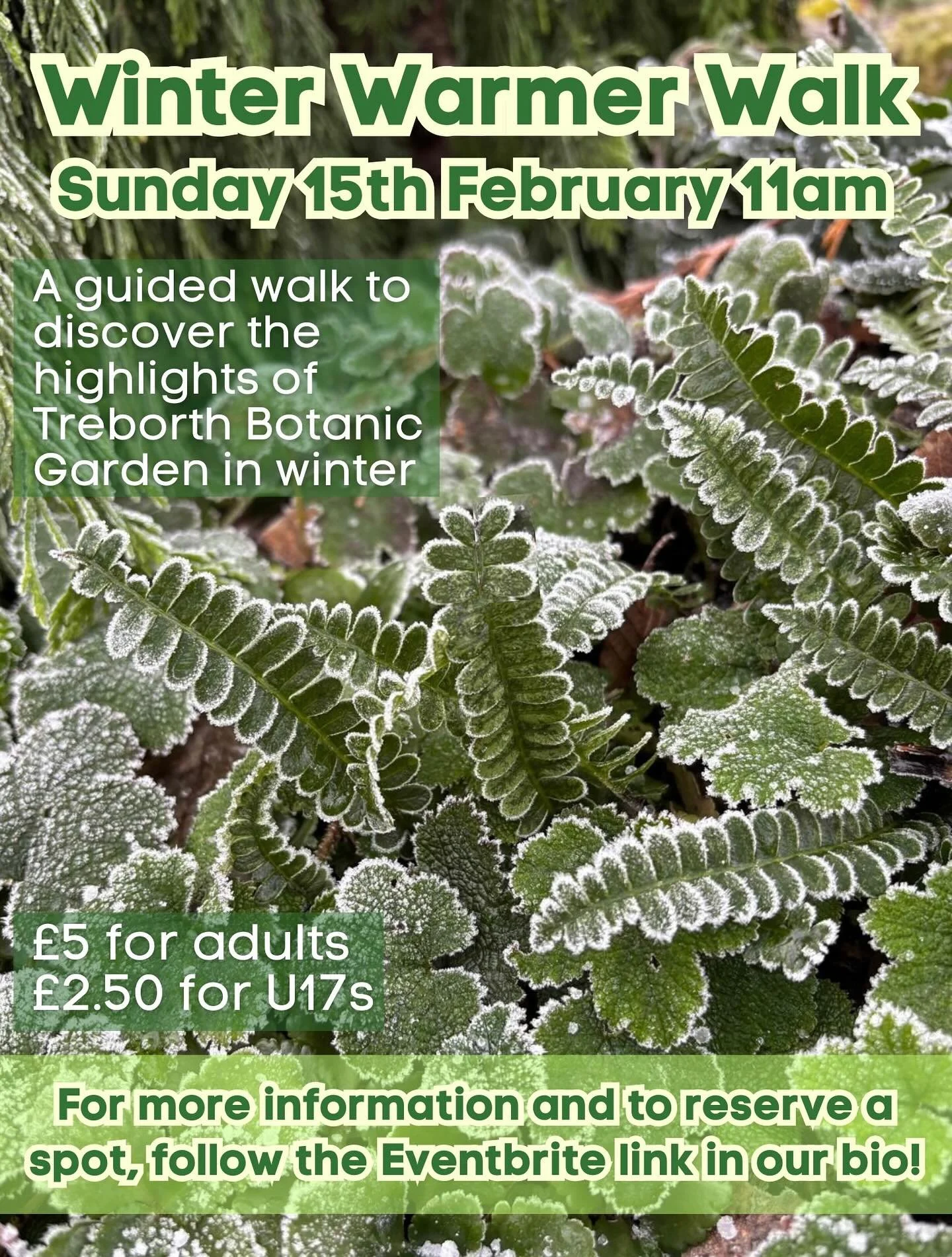 Come along to a guided walk to discover the winter highlights of the Botanic Garden ❄️
After the walk, hot drinks and homemade soup will be available for a small additional cost to warm you back up! 

Sign up with the Eventbrite link in our bio 🍂