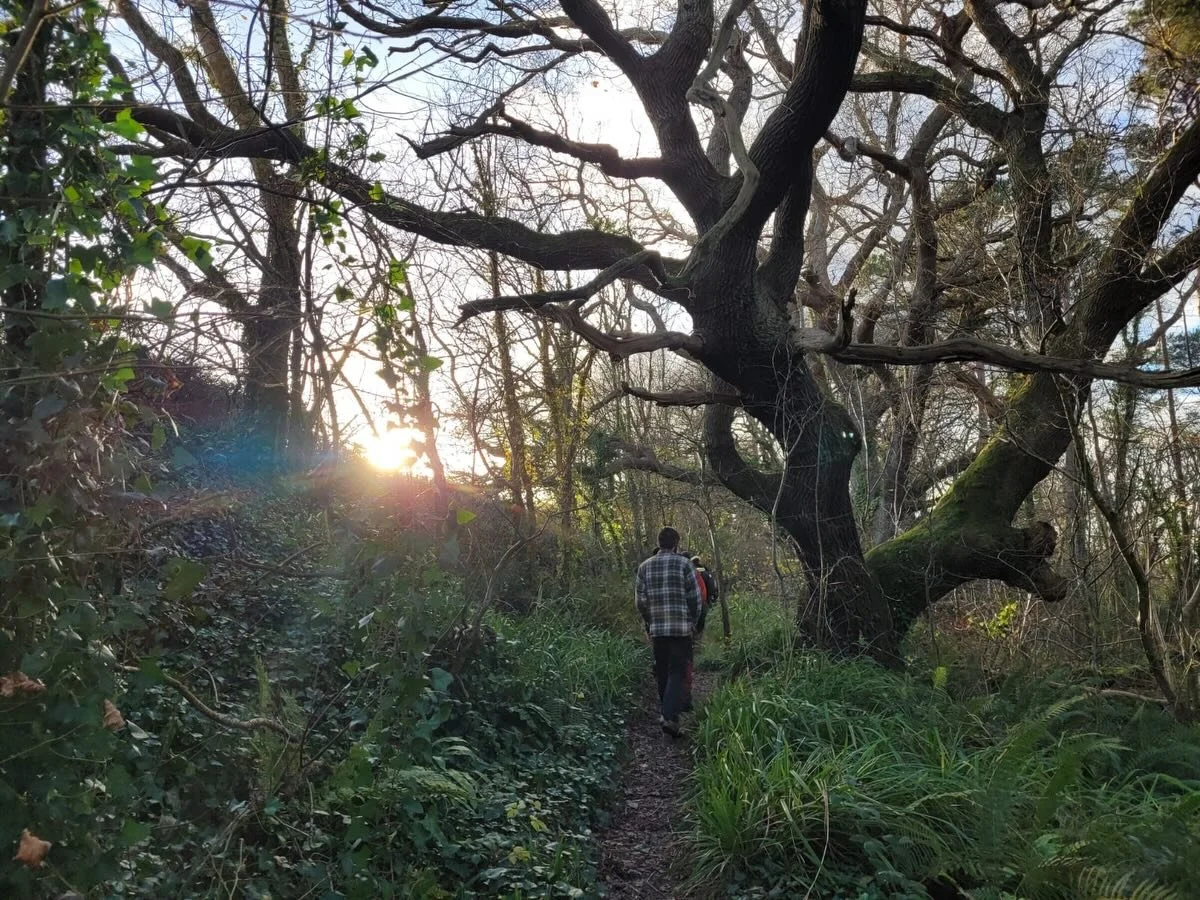 What a brilliant day in the woods! 🌳 
A huge thank-you to everyone who joined the @plantlife.loveplants workshop on managing dead and dying trees in temperate rainforest ecosystems. With expert sessions from Sabine Nouvet and Steve Cutmore, attendee