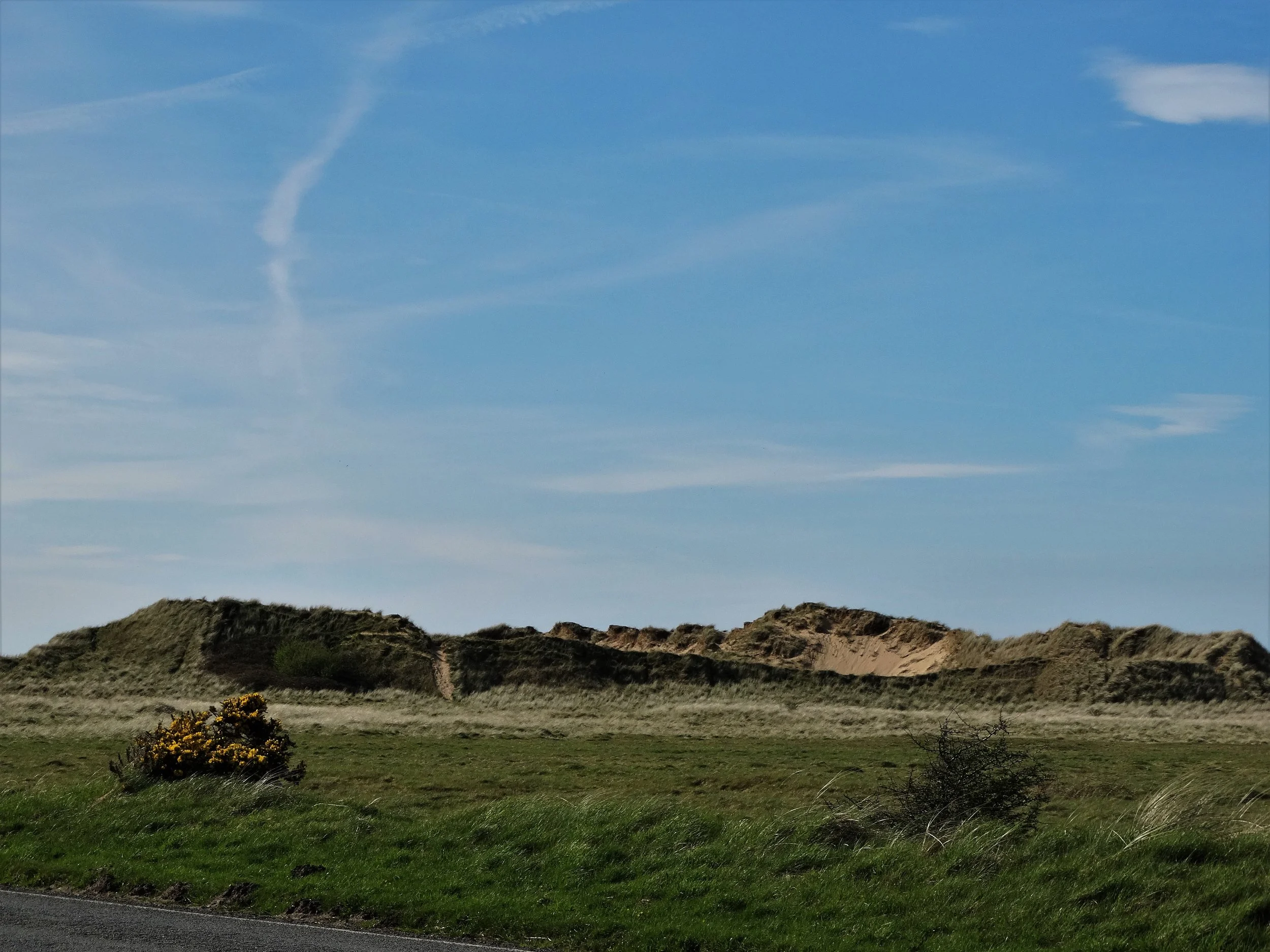 Aberffraw Dunes and Foreshore Trip