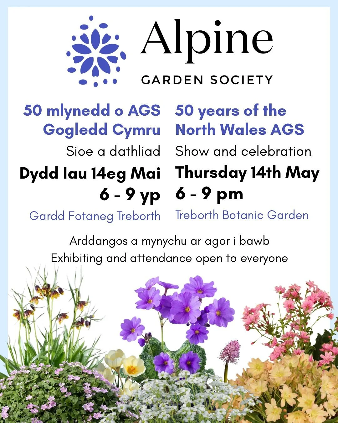 Next Thursday, the local branch of the @alpinegardensoc will be hosting their annual show at Treborth and marking 50 years of the North Wales AGS! 🪻

This event is open to everyone, and you can even exhibit your own plants, photography, and art (che