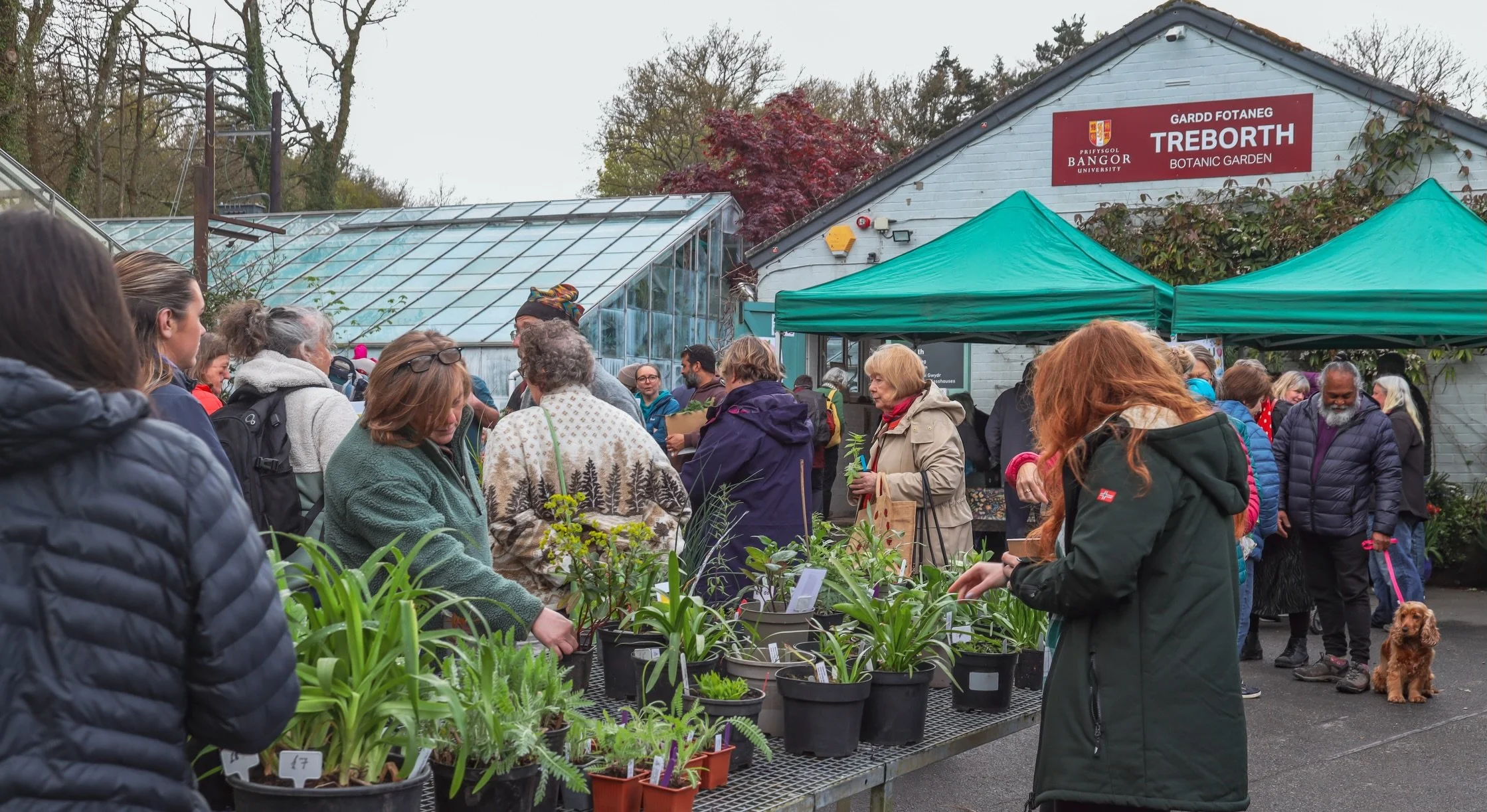 🌿 What a lovely day our last plant sale turned out to be 💚
&nbsp;
From plants and local stalls to homemade bakes, it was wonderful seeing so many people exploring, chatting, and supporting local at Treborth Botanic Garden. Thank you to everyone who