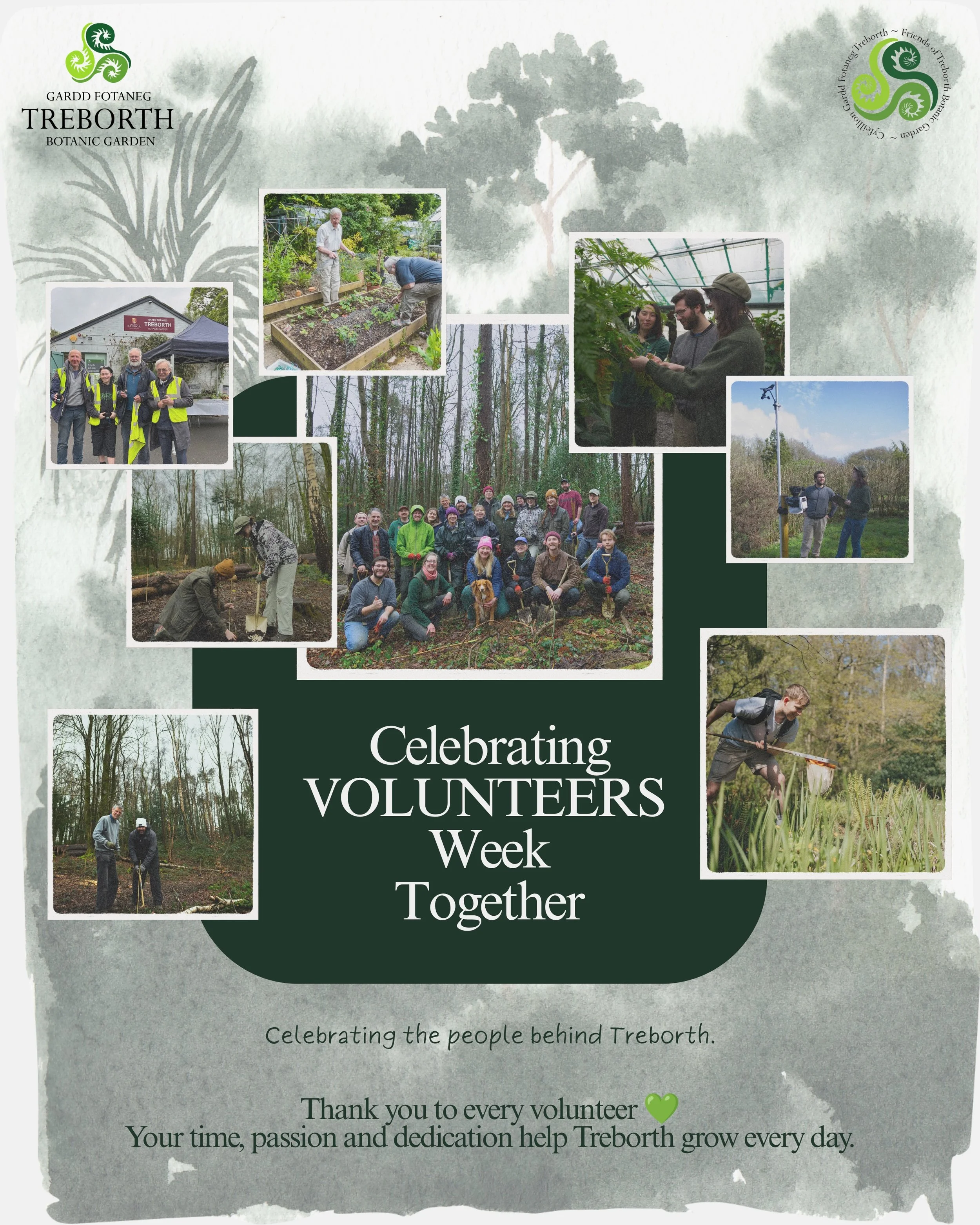 🌿 Happy Volunteers&rsquo; Week 💚

Behind every event, workshop, plant sale, guided walk, and garden project is a wonderful group of volunteers who generously give their time, skills, and passion to help Treborth thrive.

 From planting and maintain