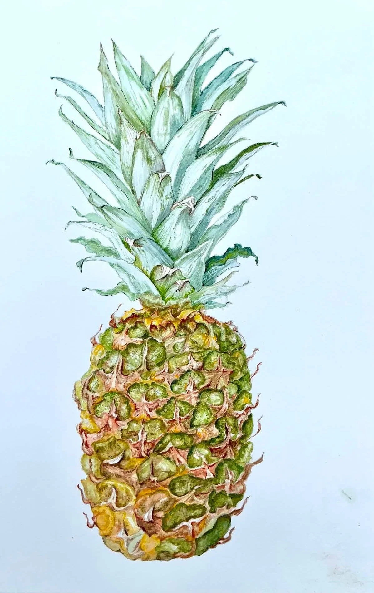 Botanical Art Class Exhibition