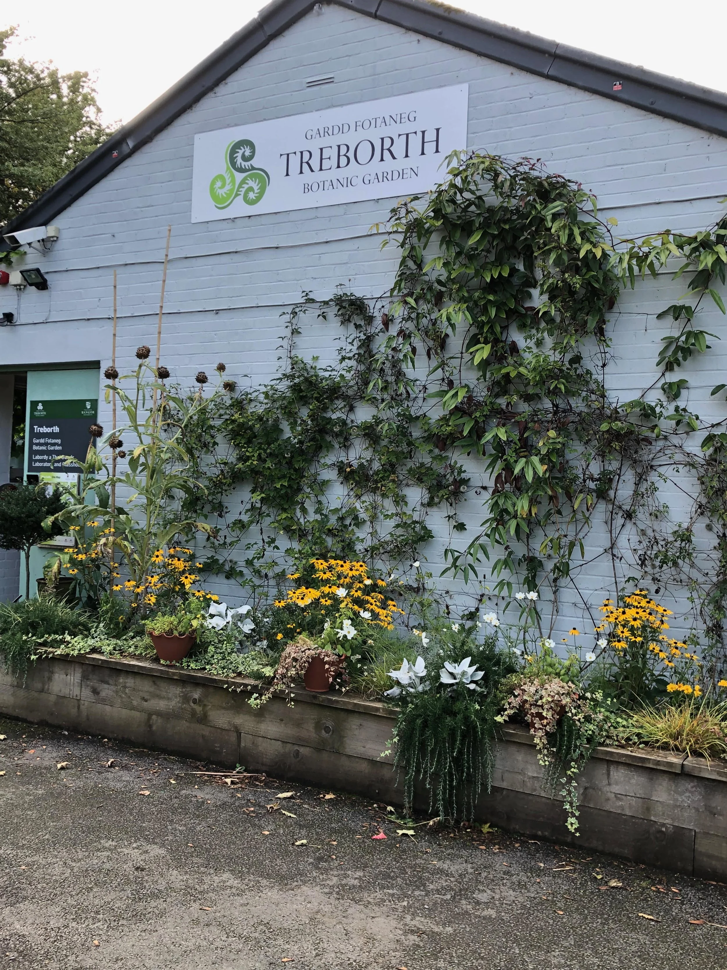 Bulbs and seeds for displays.jpg