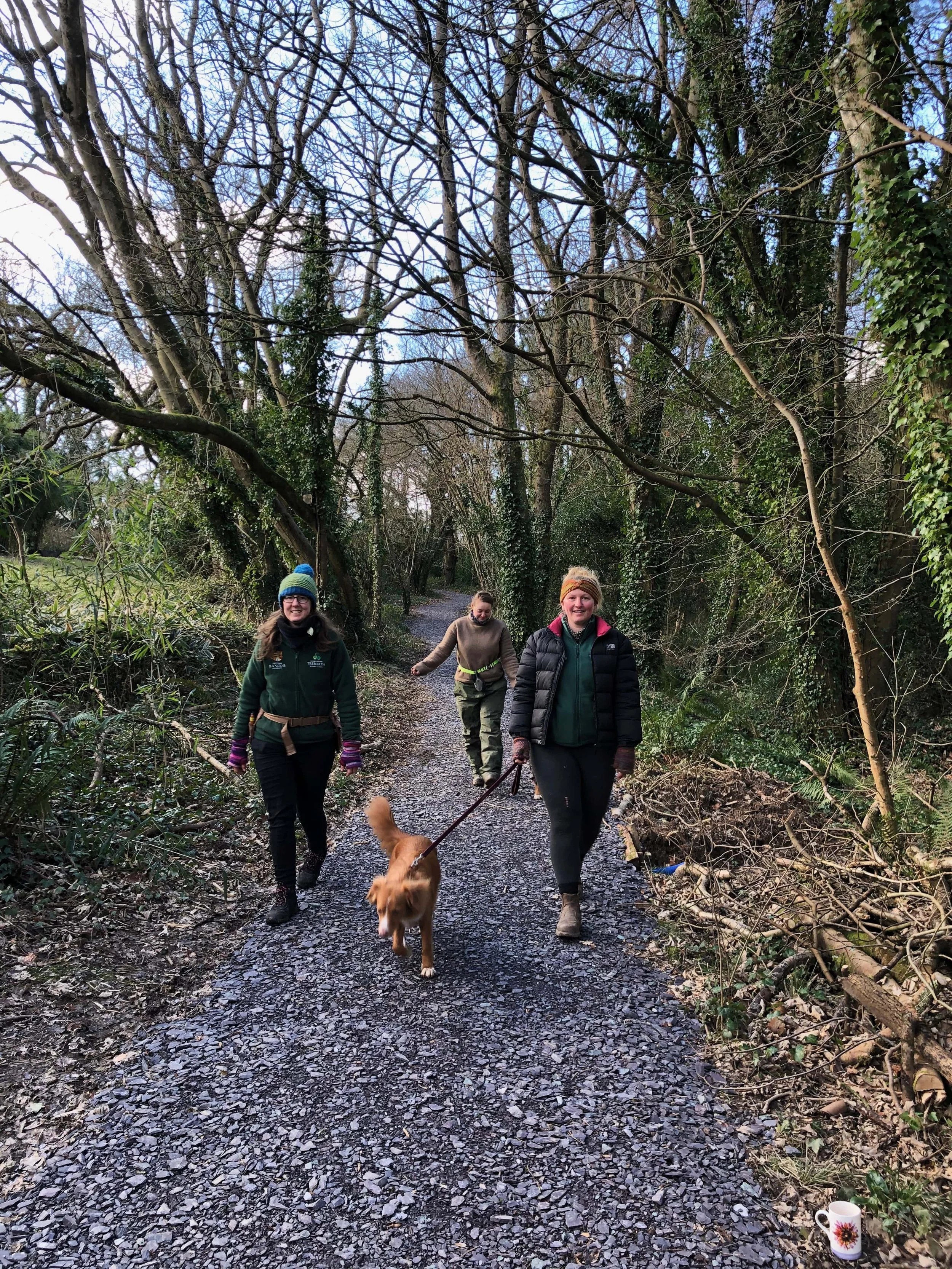 Path work in woodland.jpg