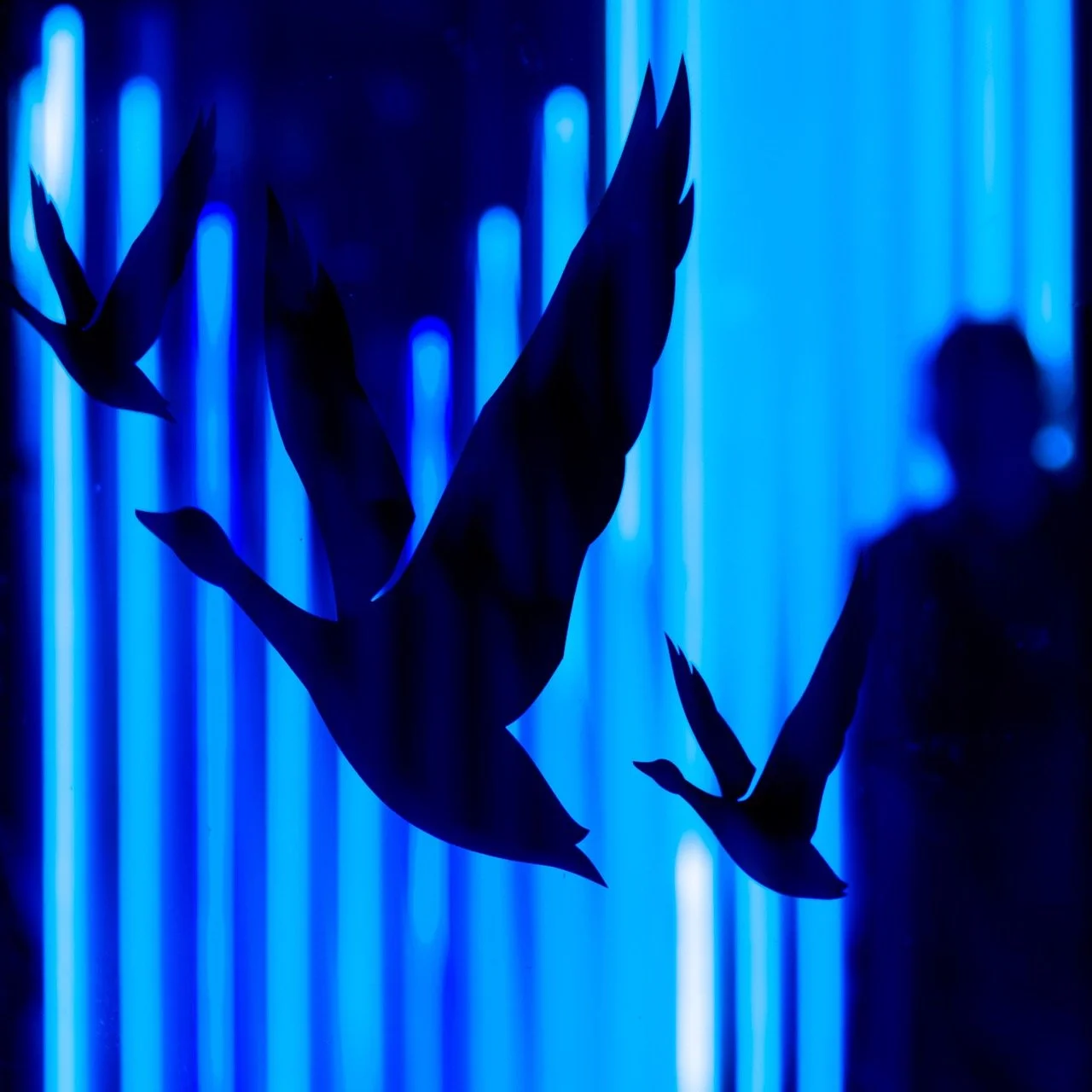 Grey-Goose-@-VIP-ROOM-St-Tropez_Offside-58 - Grande.jpeg