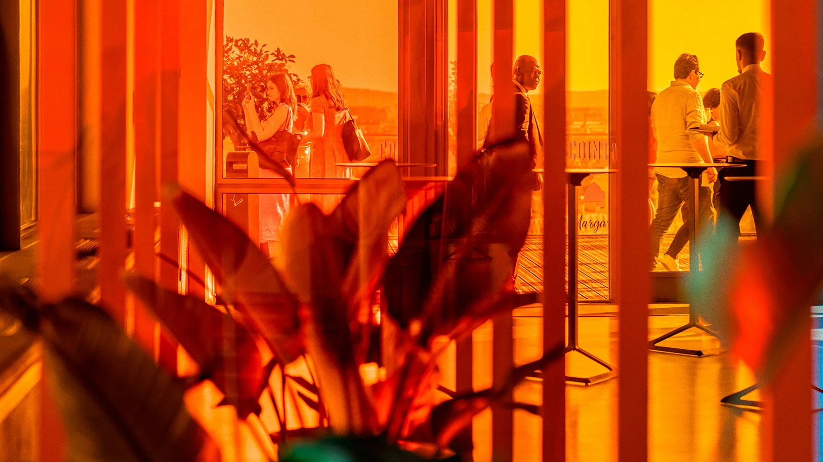 Cointreau8.jpg